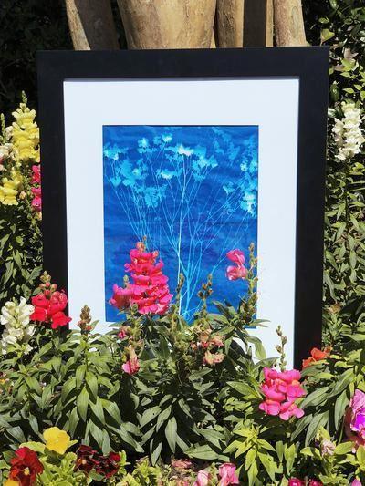 20 Large Sheets of Nature Print/Cyanotype Paper (11" x 17") - Image 3