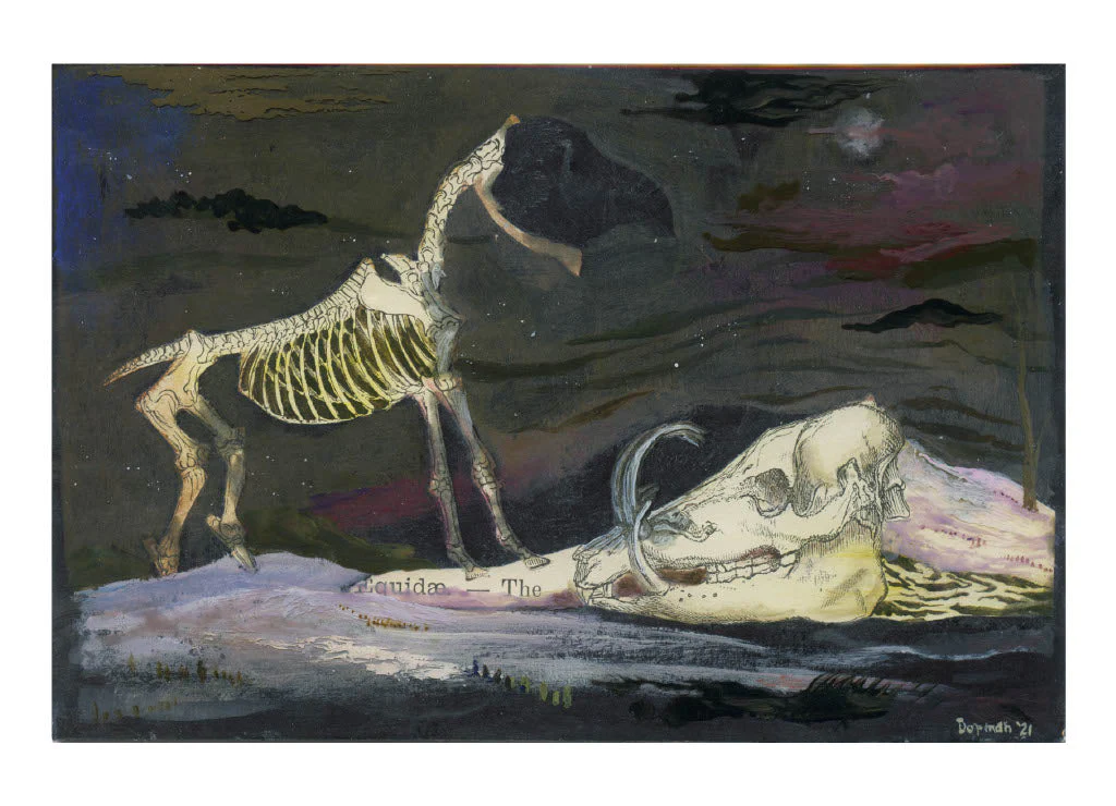 2021 Individual Postcards - Image 56