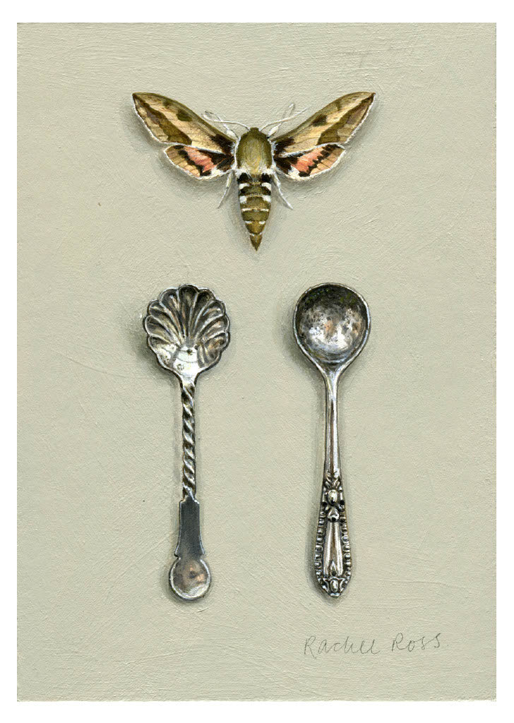 2023 Individual Postcards - Image 36