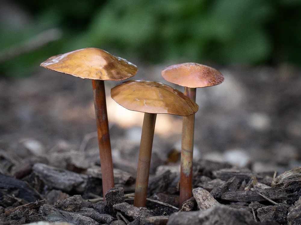 3 Copper Mushrooms - Image 11