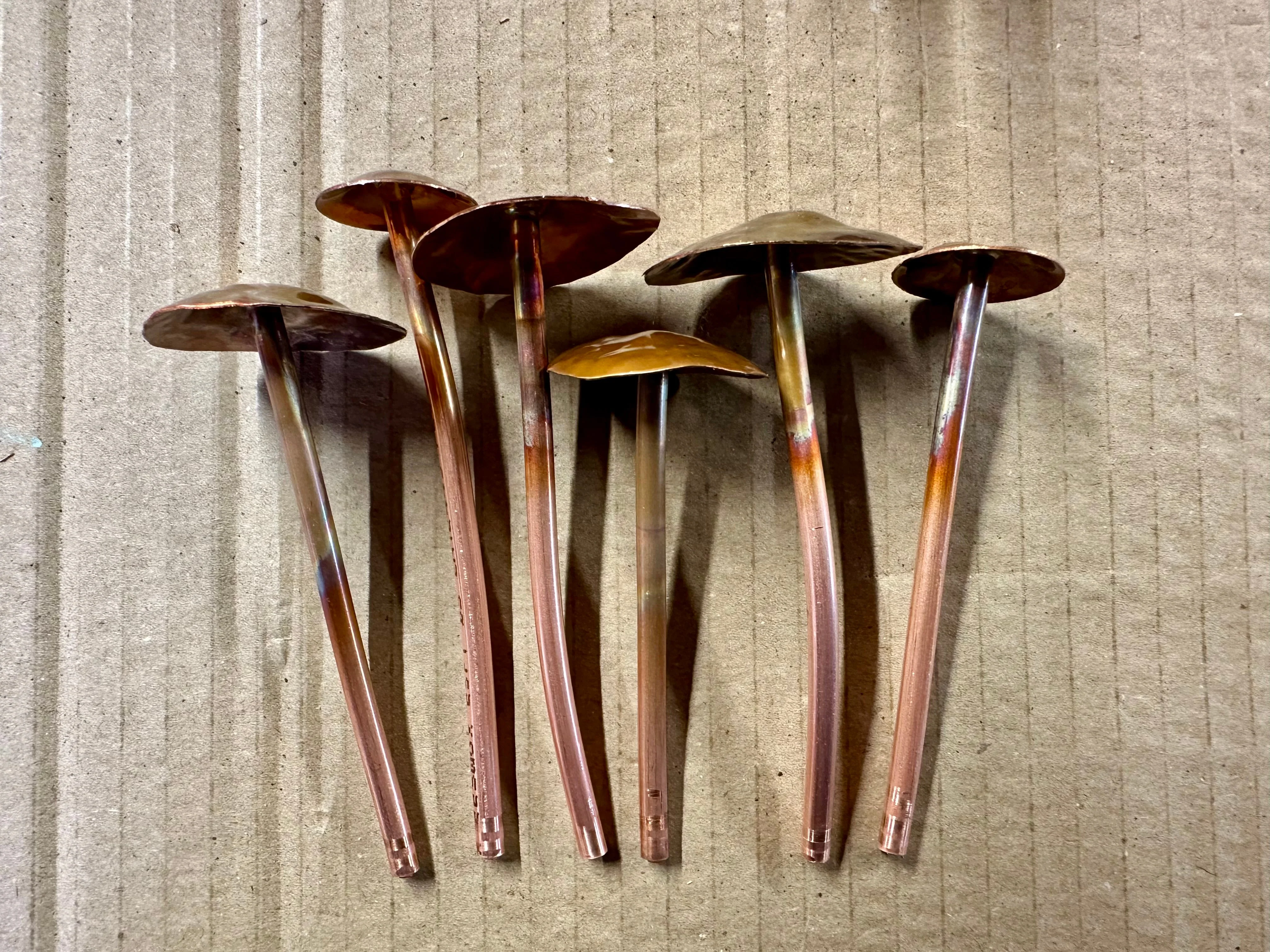 3 Copper Mushrooms - Image 13