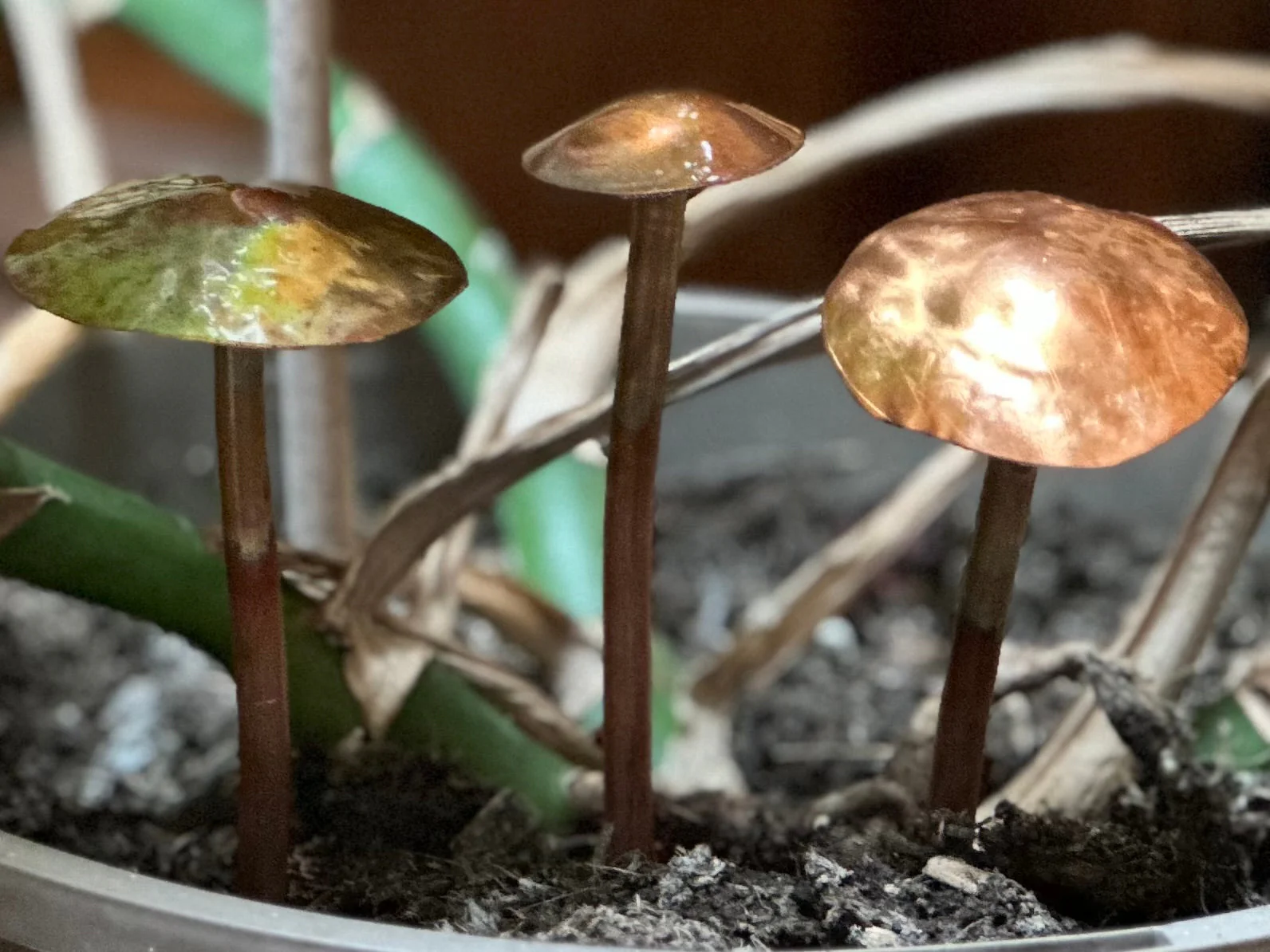 3 Copper Mushrooms - Image 15