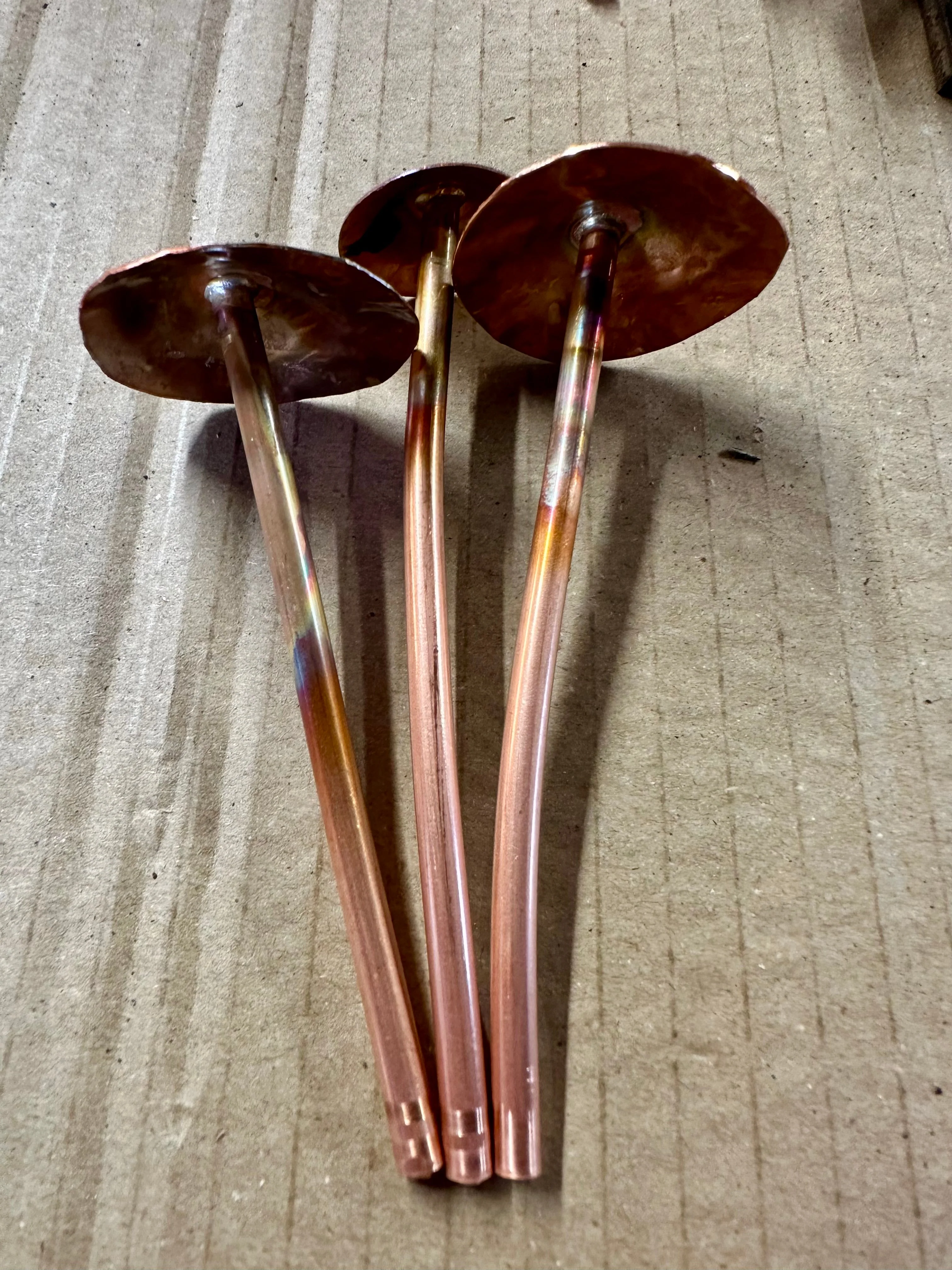 3 Copper Mushrooms - Image 16