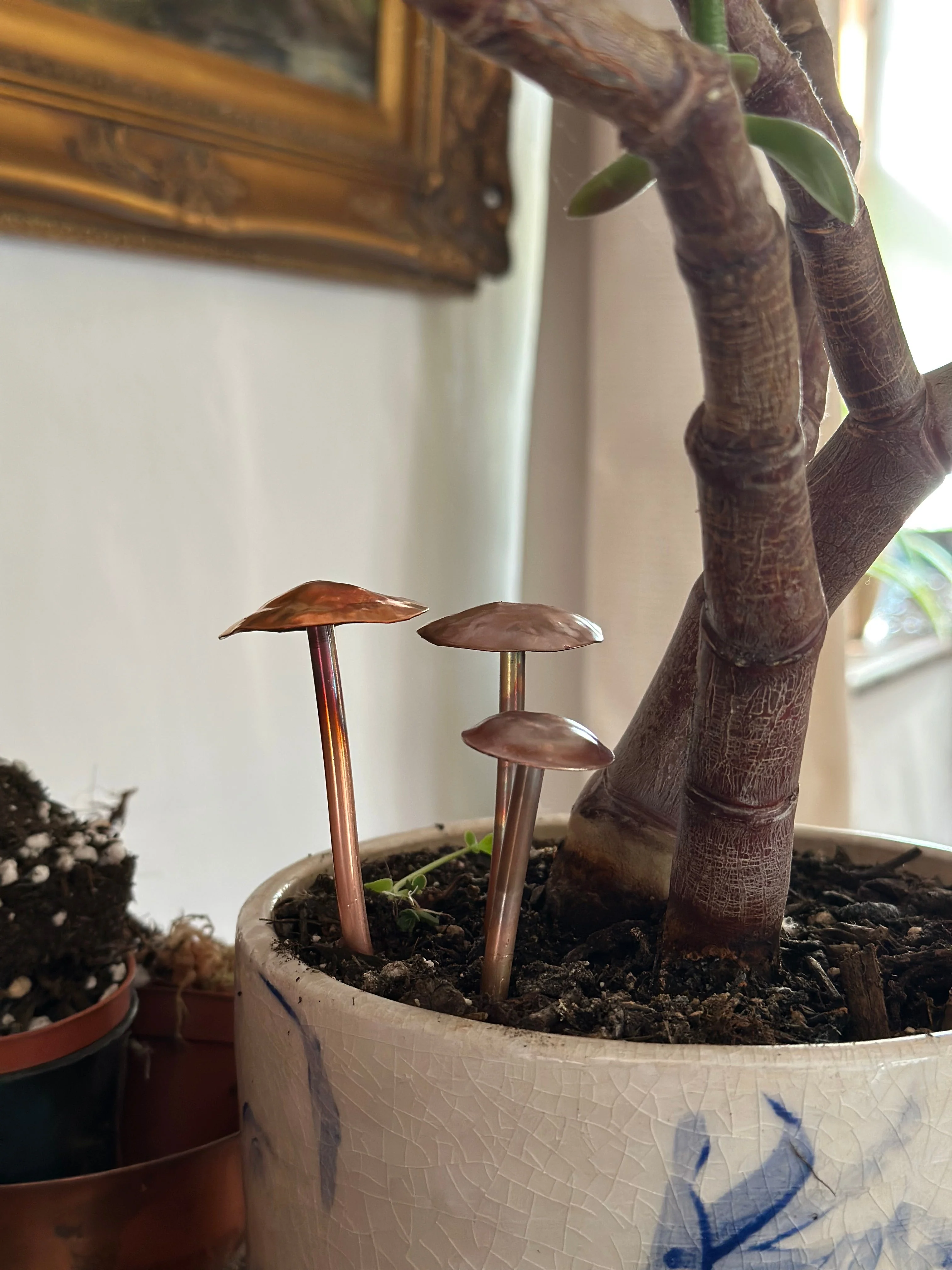 3 Copper Mushrooms - Image 5