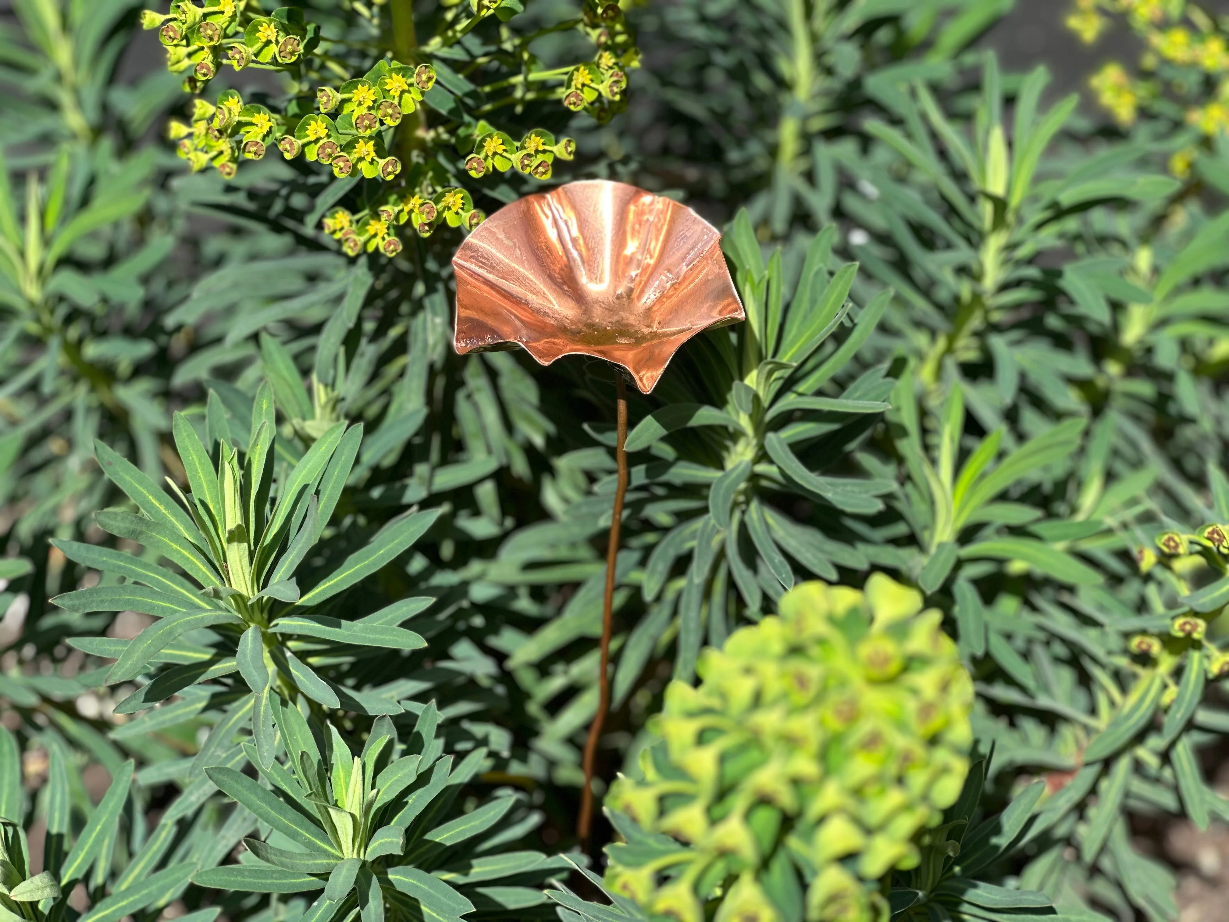 3 x Copper Bee Drinker Bundle - Image 10