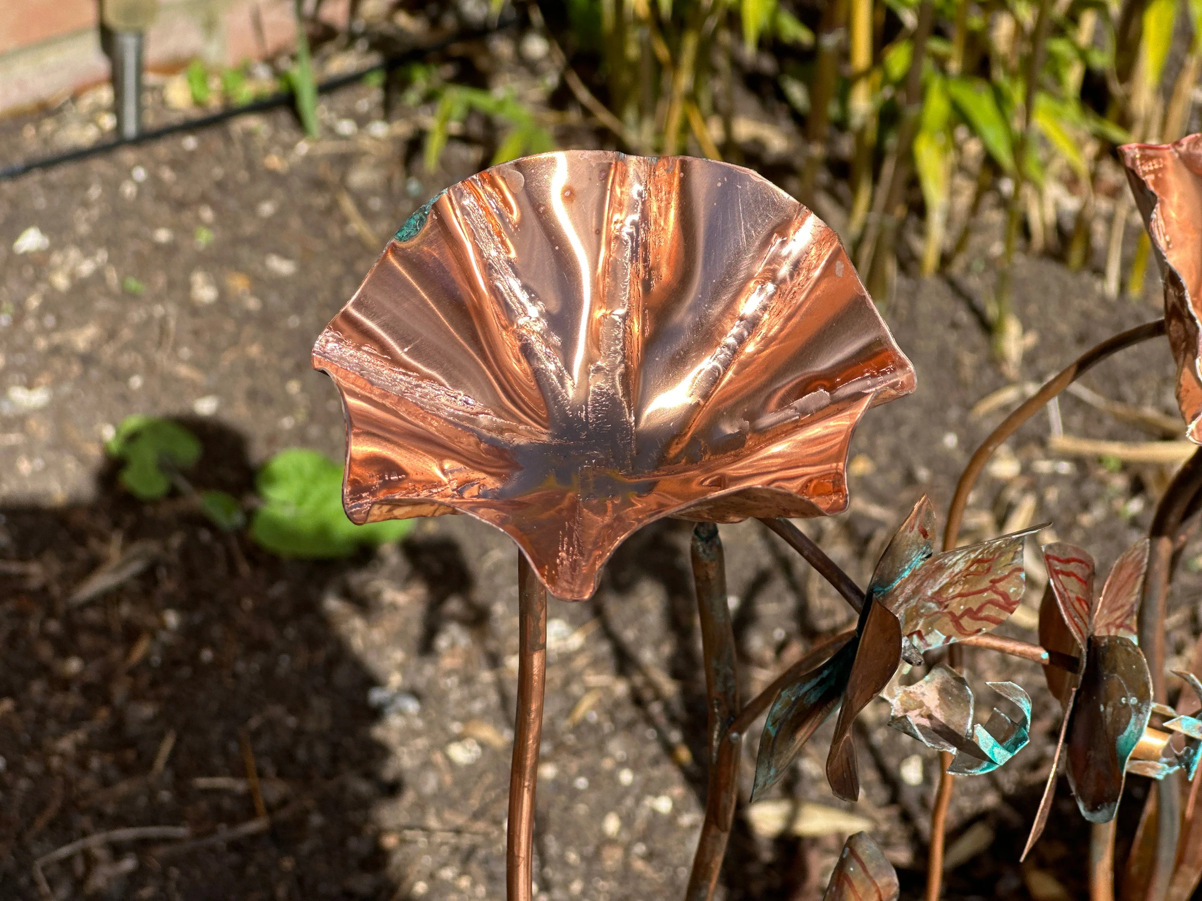 3 x Copper Bee Drinker Bundle - Image 13