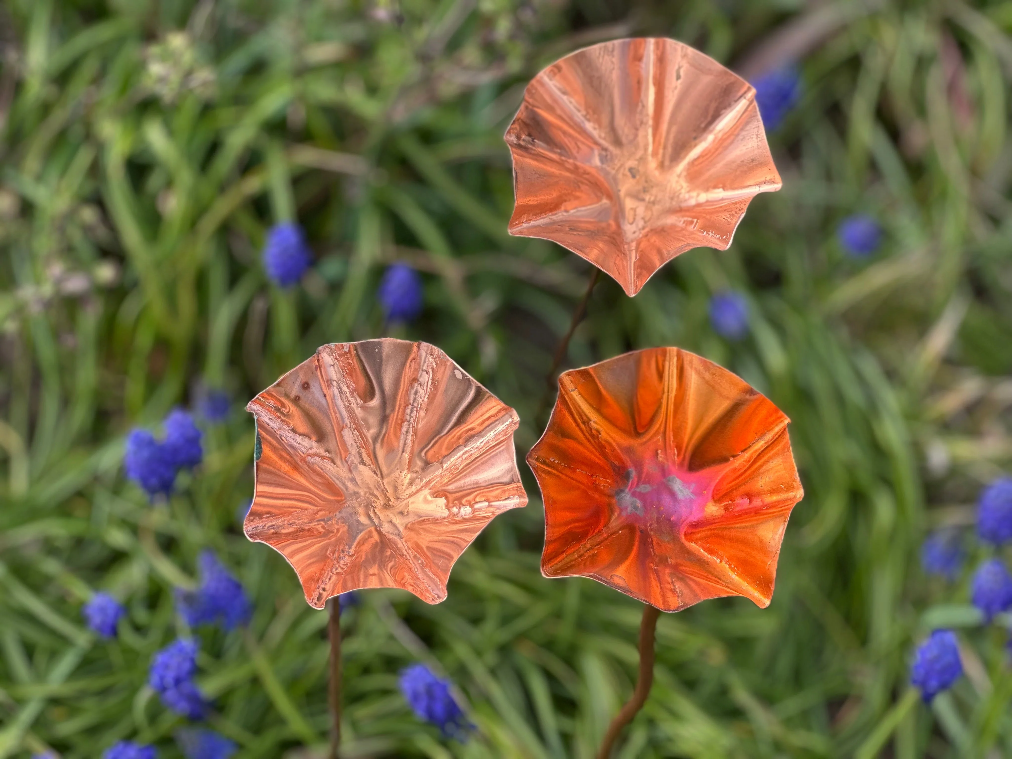 3 x Copper Bee Drinker Bundle - Image 21