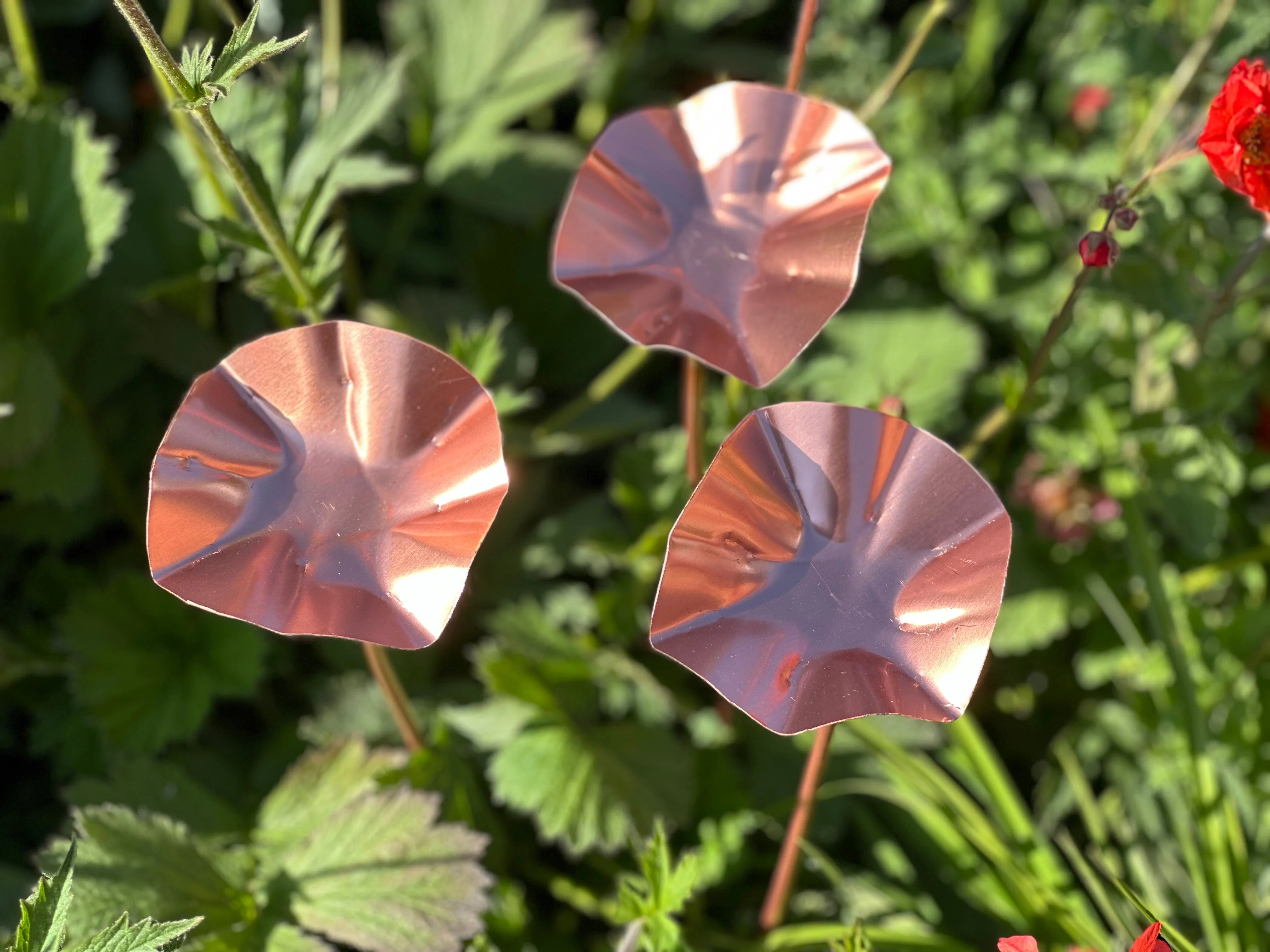 3 x Copper Bee Drinker Bundle - Image 3