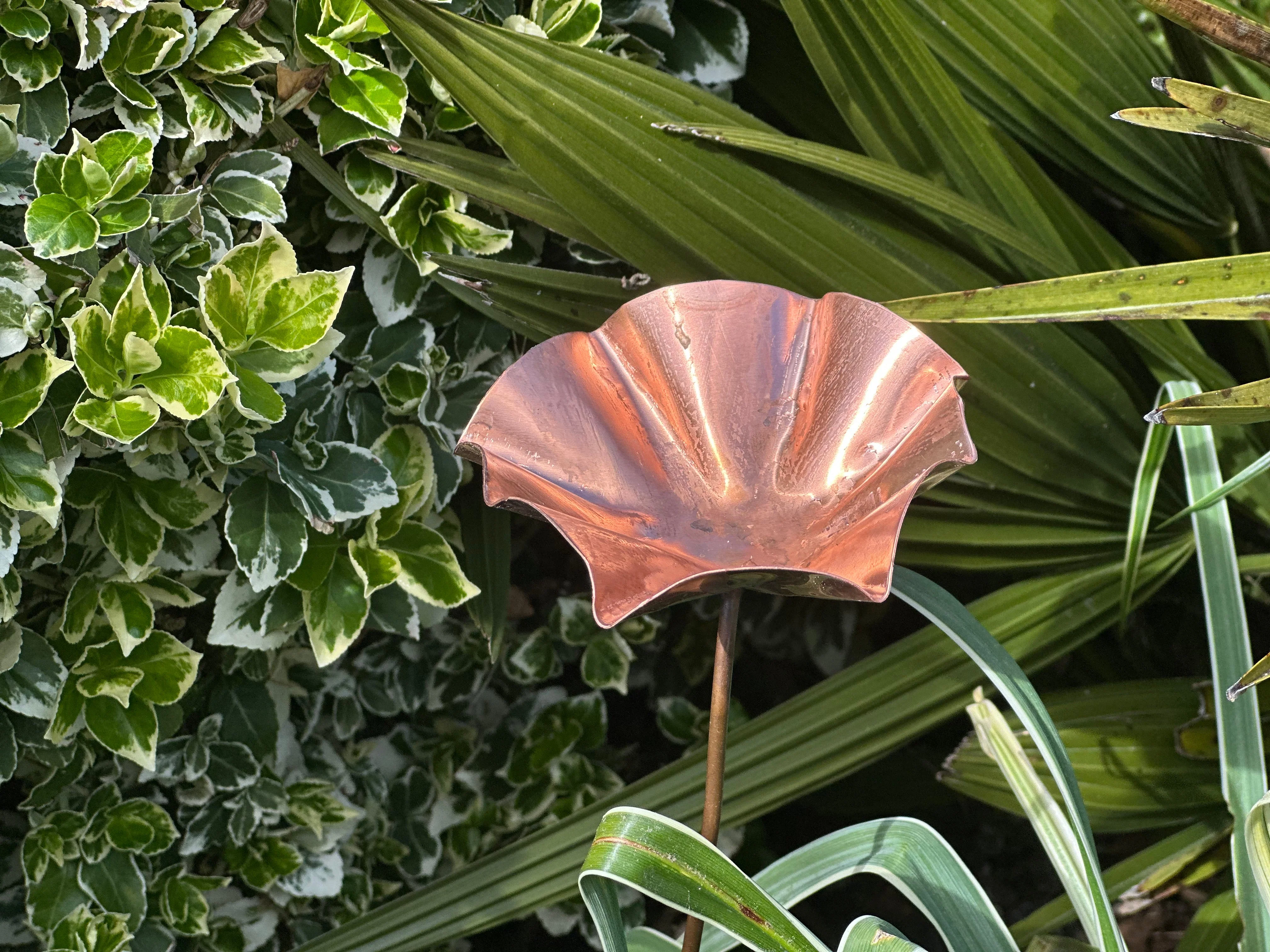 5 x Copper Bee Drinker Bundle - Image 18