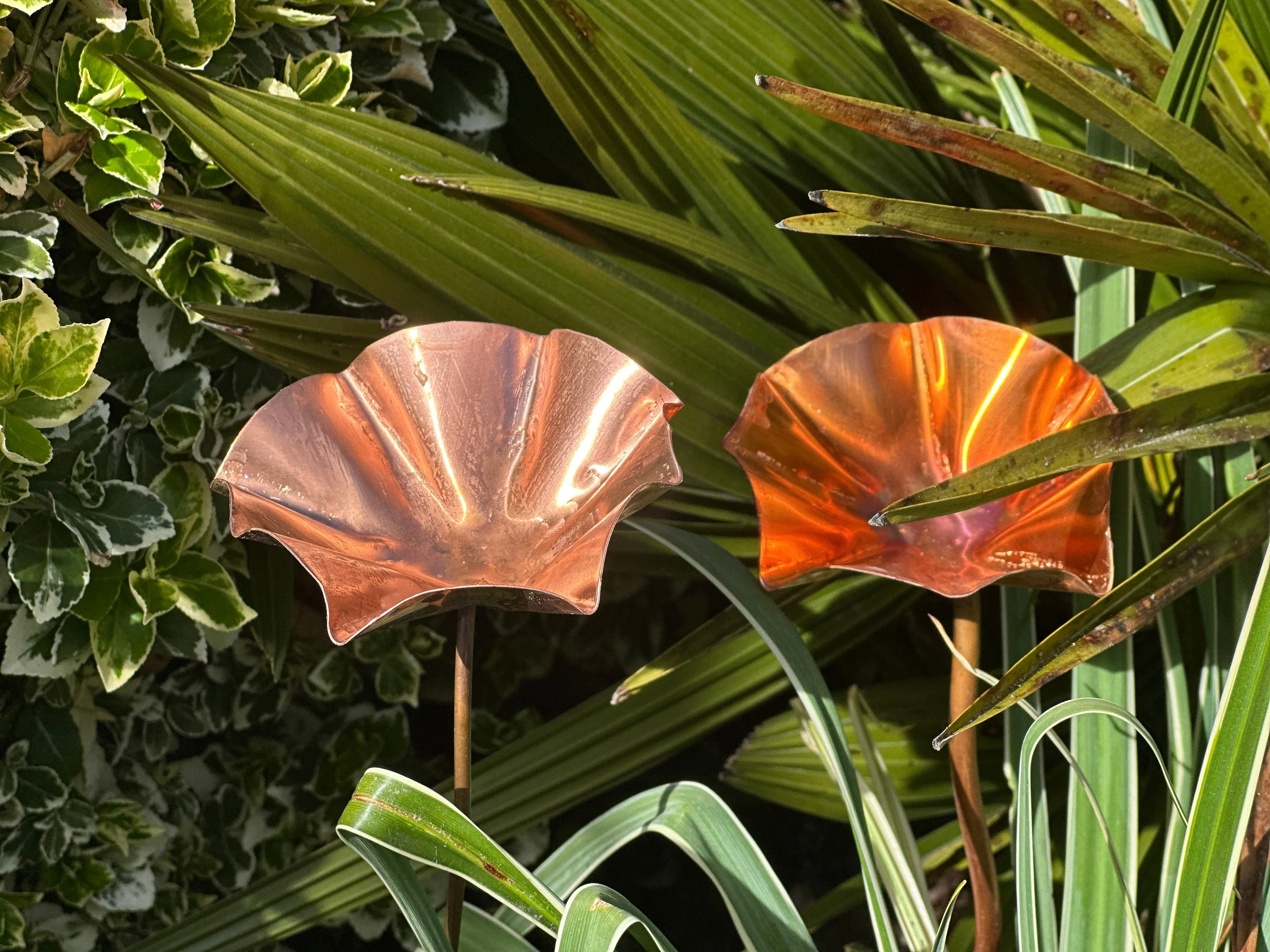 5 x Copper Bee Drinker Bundle - Image 20