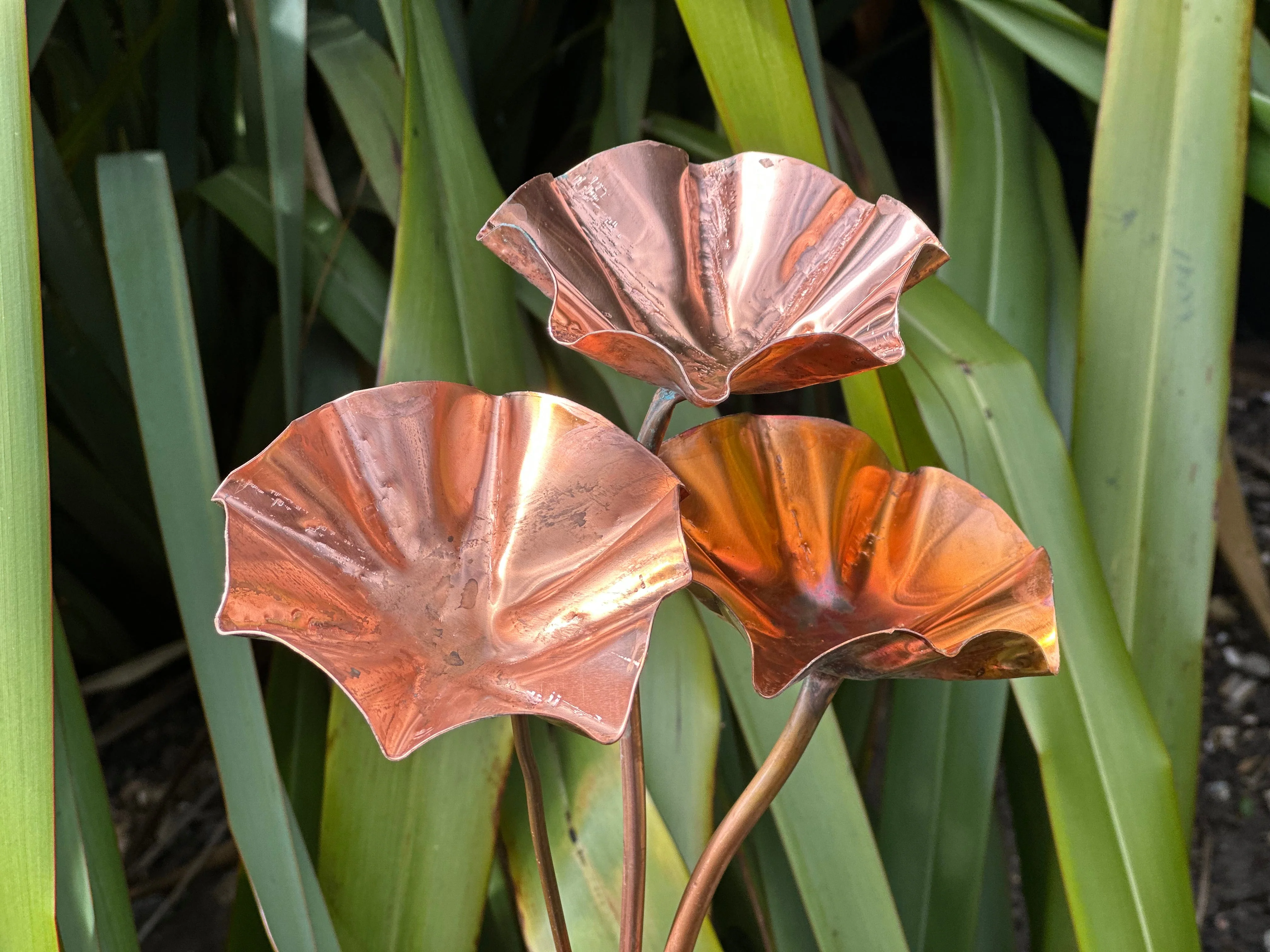 5 x Copper Bee Drinker Bundle - Image 25