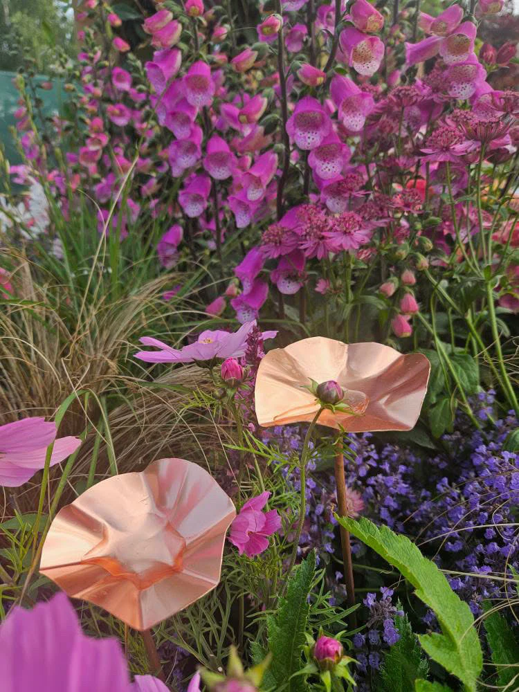 5 x Copper Bee Drinker Bundle - Image 29