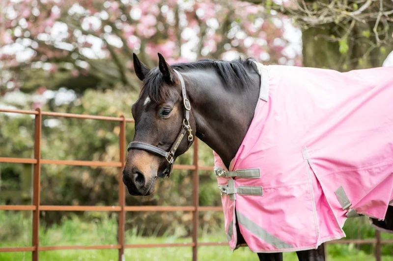 50g Detachable Neck Turnout Rug - Baby Pink - Image 2