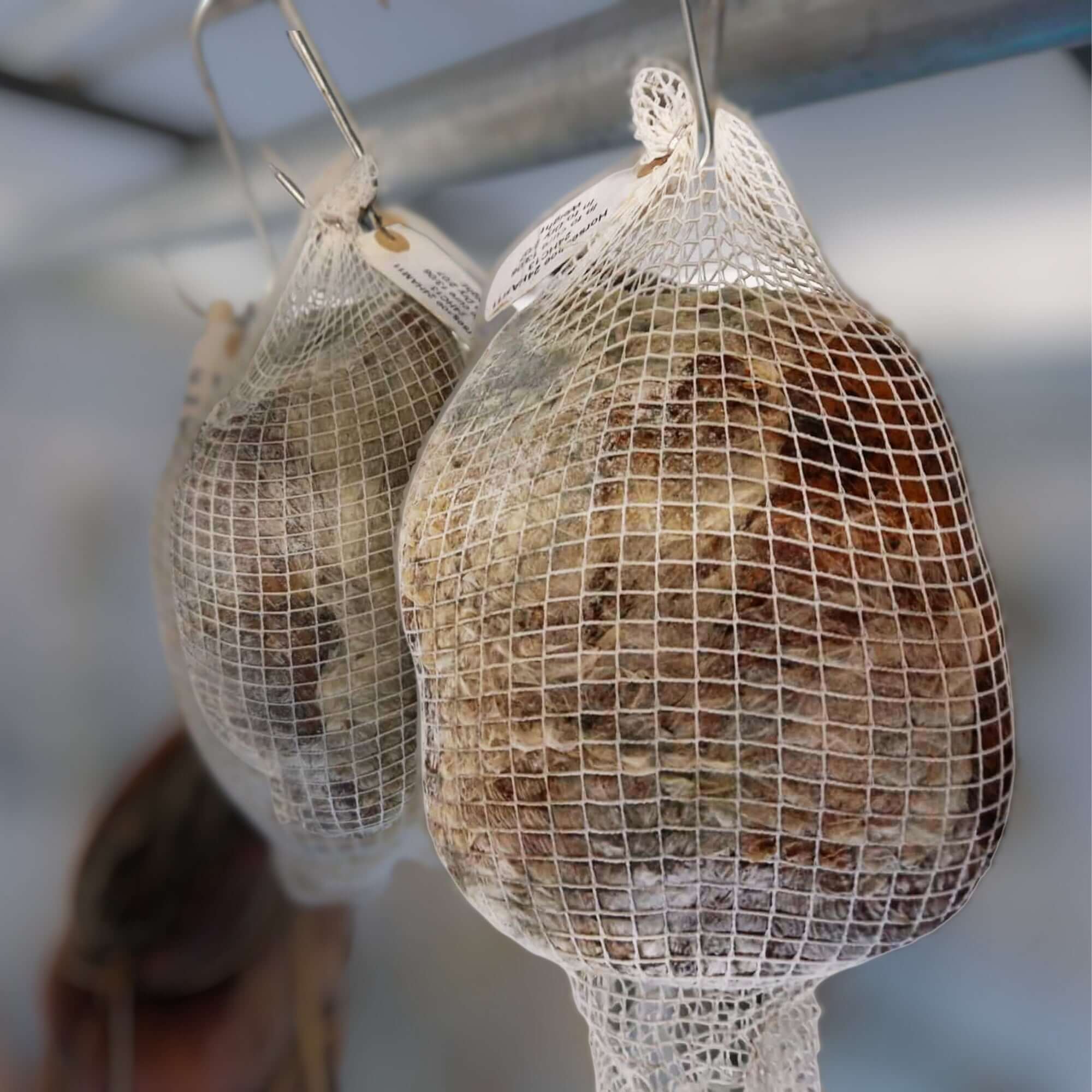 Adopt an Air-Dried Ham - Boxed Gift Card - Image 2