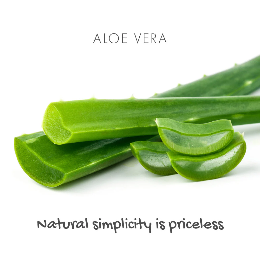Aloe Vera Natural Soap - Fragrance-free - Image 3