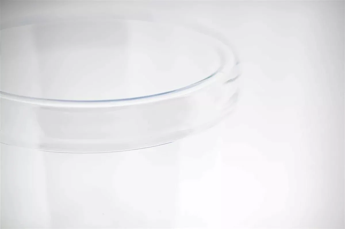 AMAZON HURRICANE Vase - CLEAR by DutZ - Image 3
