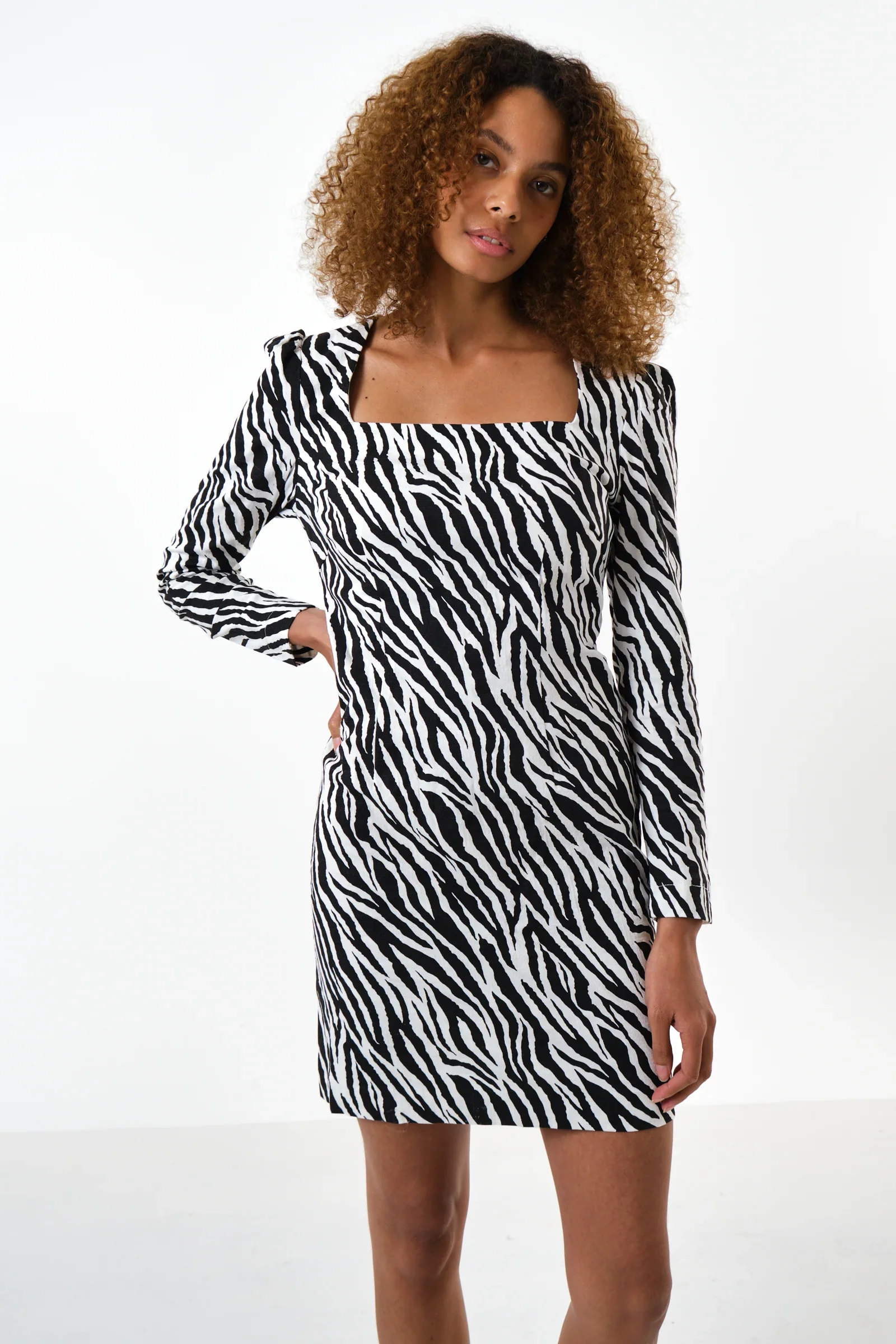 Anala Zebra Print Long Sleeve Mini Dress - Image 5
