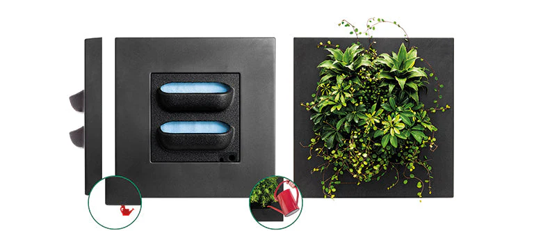Bamboo Living Wall Picture Frame - Black - Image 3