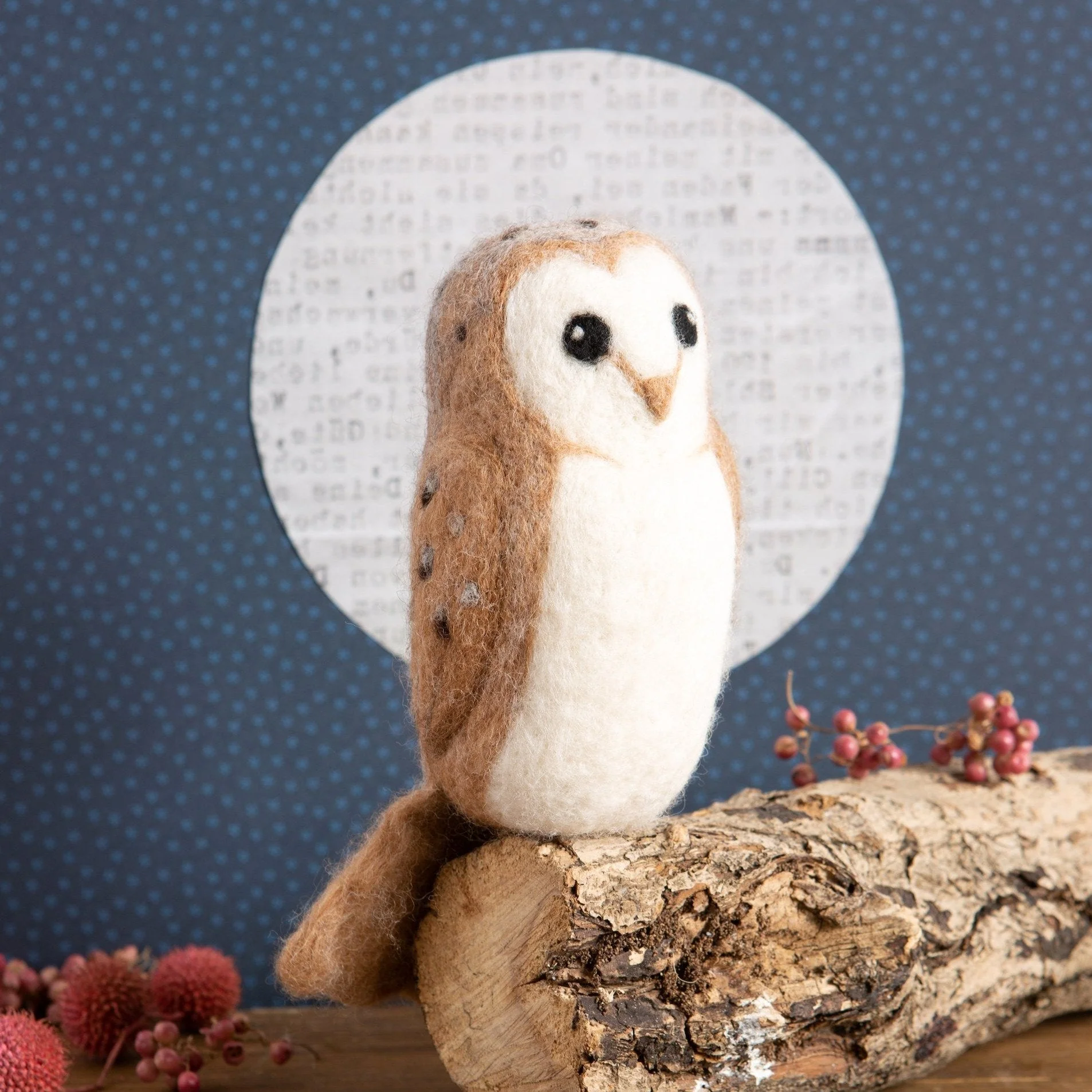 Barn Owl Bird Needle Felting Kit for Beginners - Image 3