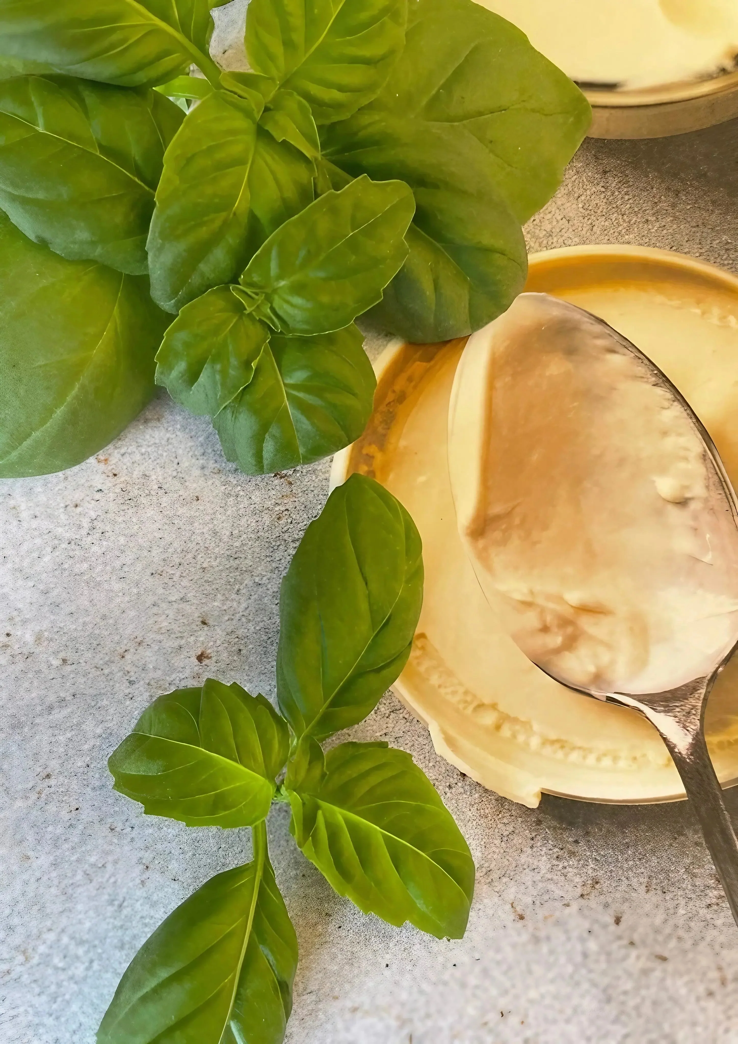Basil Thai Large Leaf - Image 4