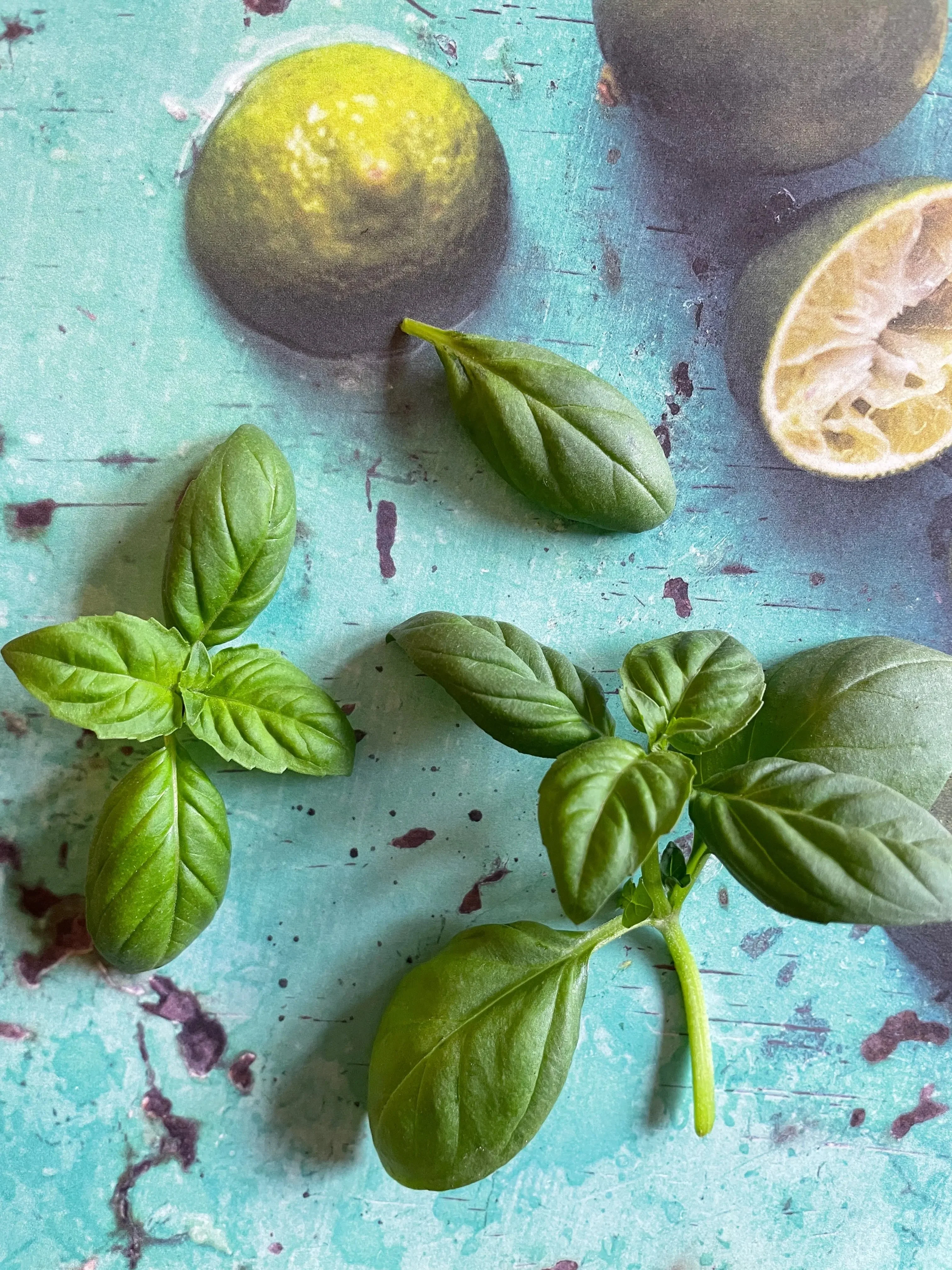 Basil Thai Large Leaf - Image 5