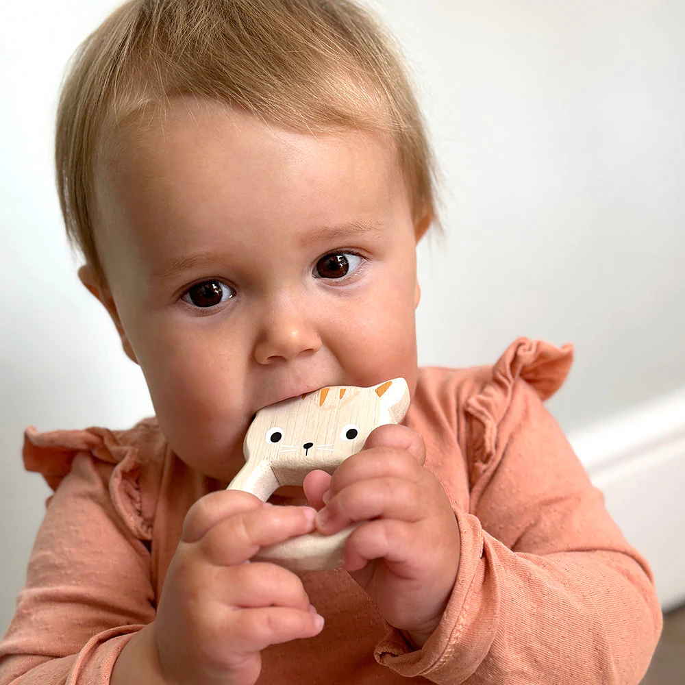 Bird & Kitten Teethers - Image 4