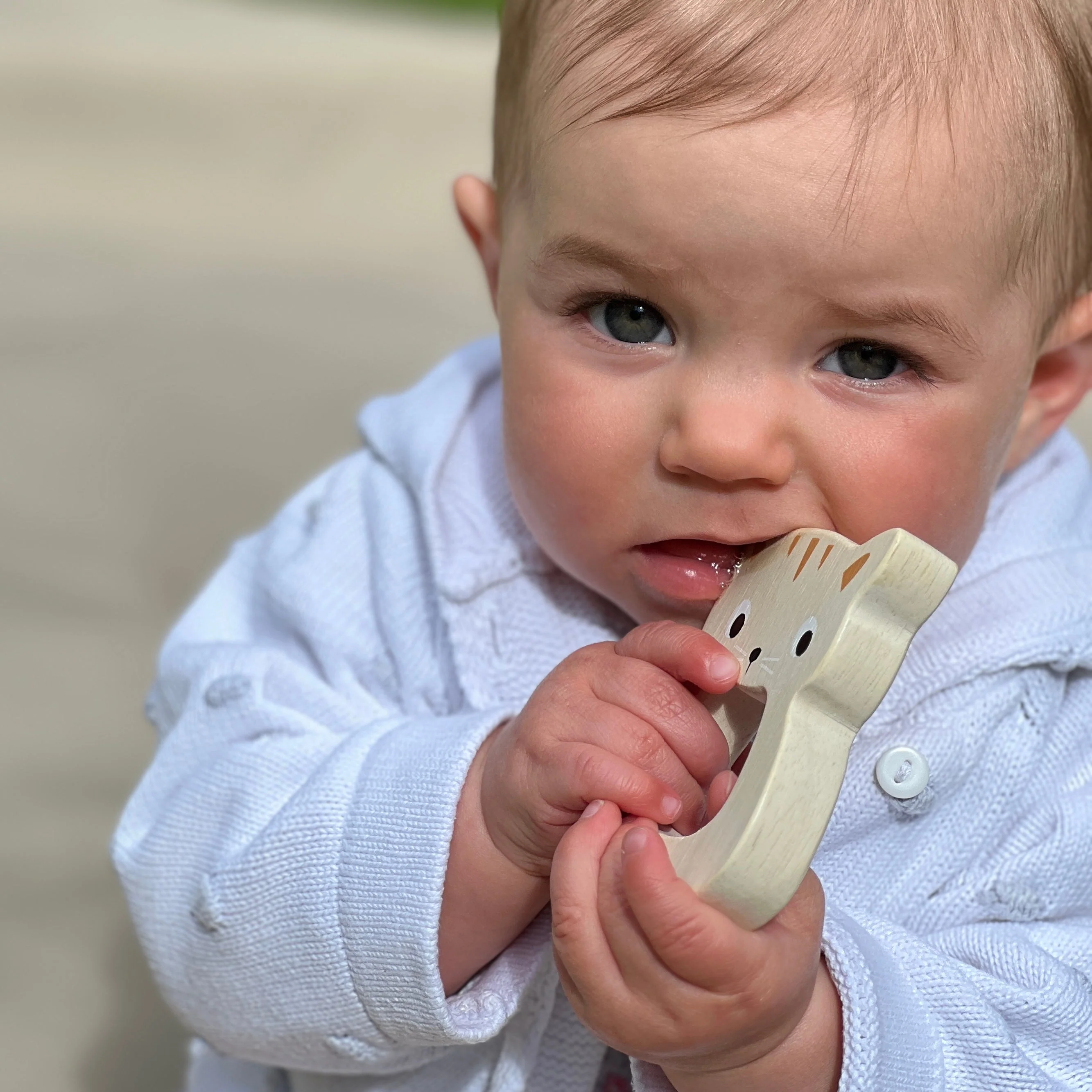 Bird & Kitten Teethers - Image 5