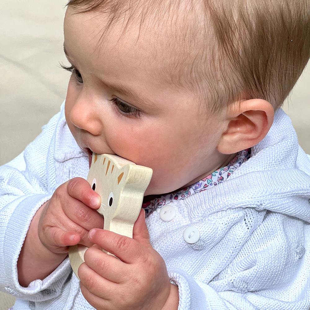 Bird & Kitten Teethers - Image 7