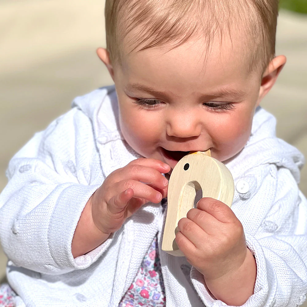 Bird & Kitten Teethers - Image 9