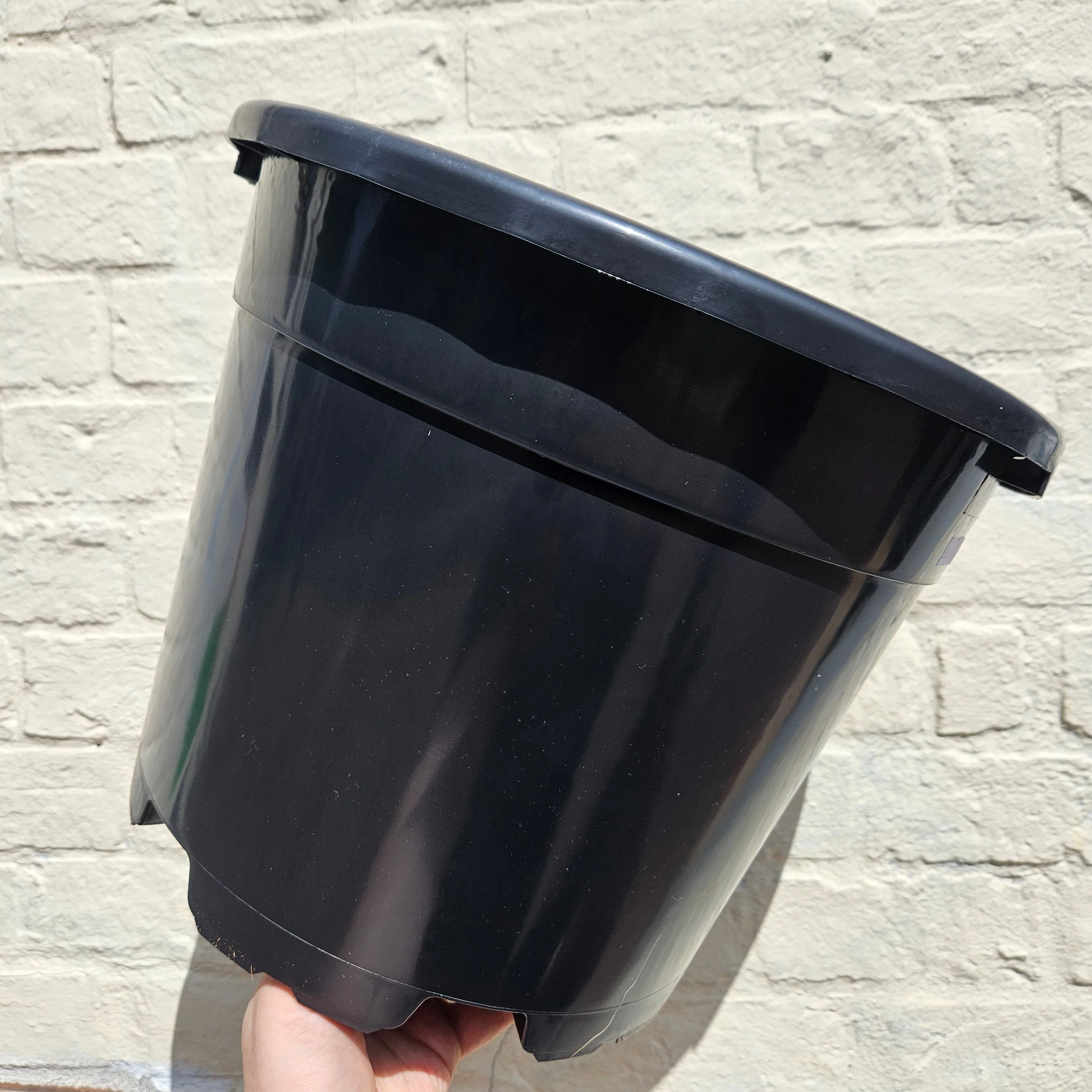 Black Plastic Nursery Pots (Various Sizes Available) - Image 9