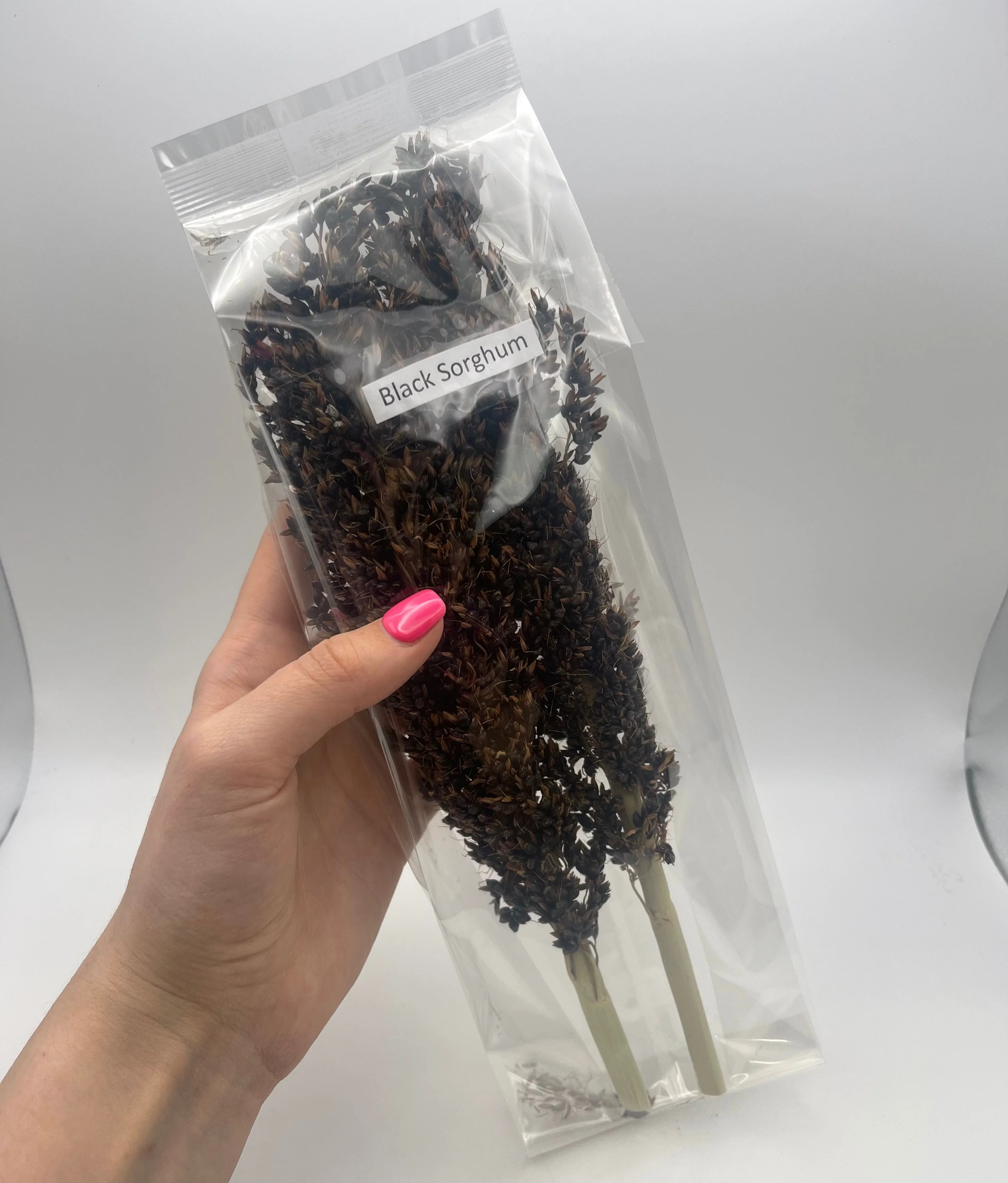 Black Sorghum Spray - Image 2