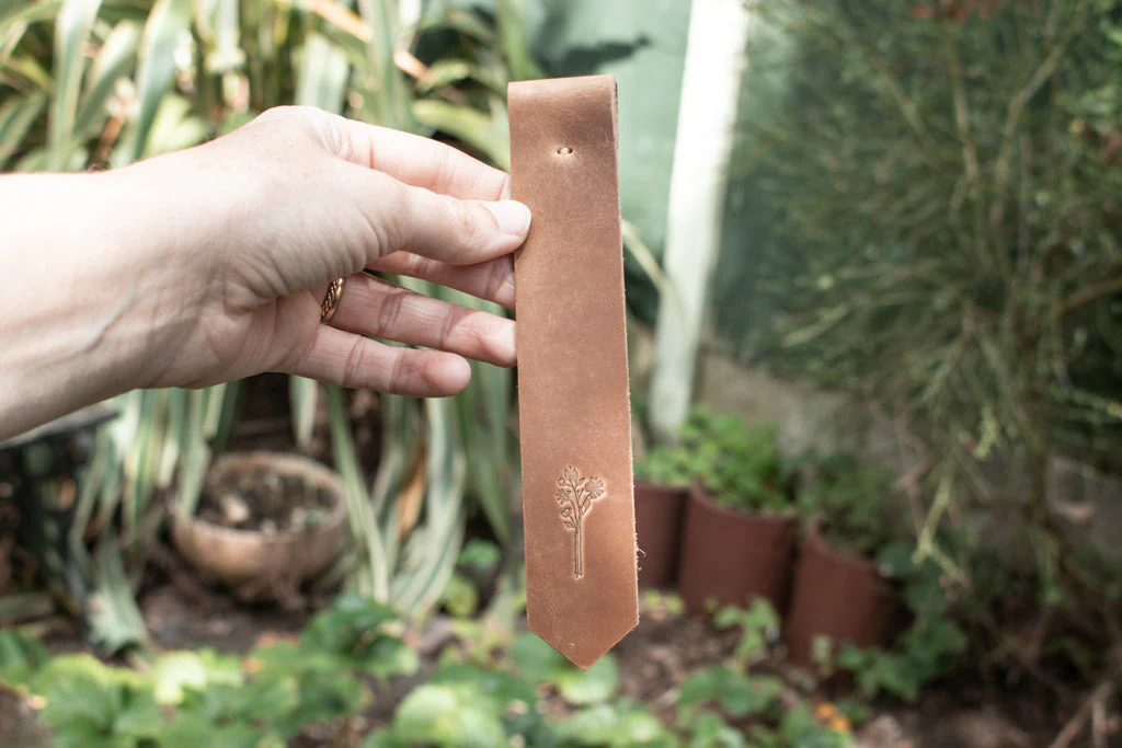 Bookmarks - Image 9