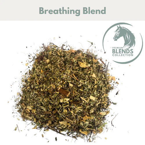 Breathing Blend - Image 2