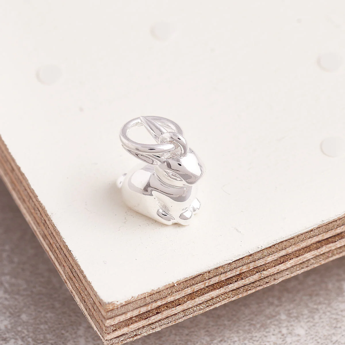 Bunny Rabbit Silver Charm - Image 11