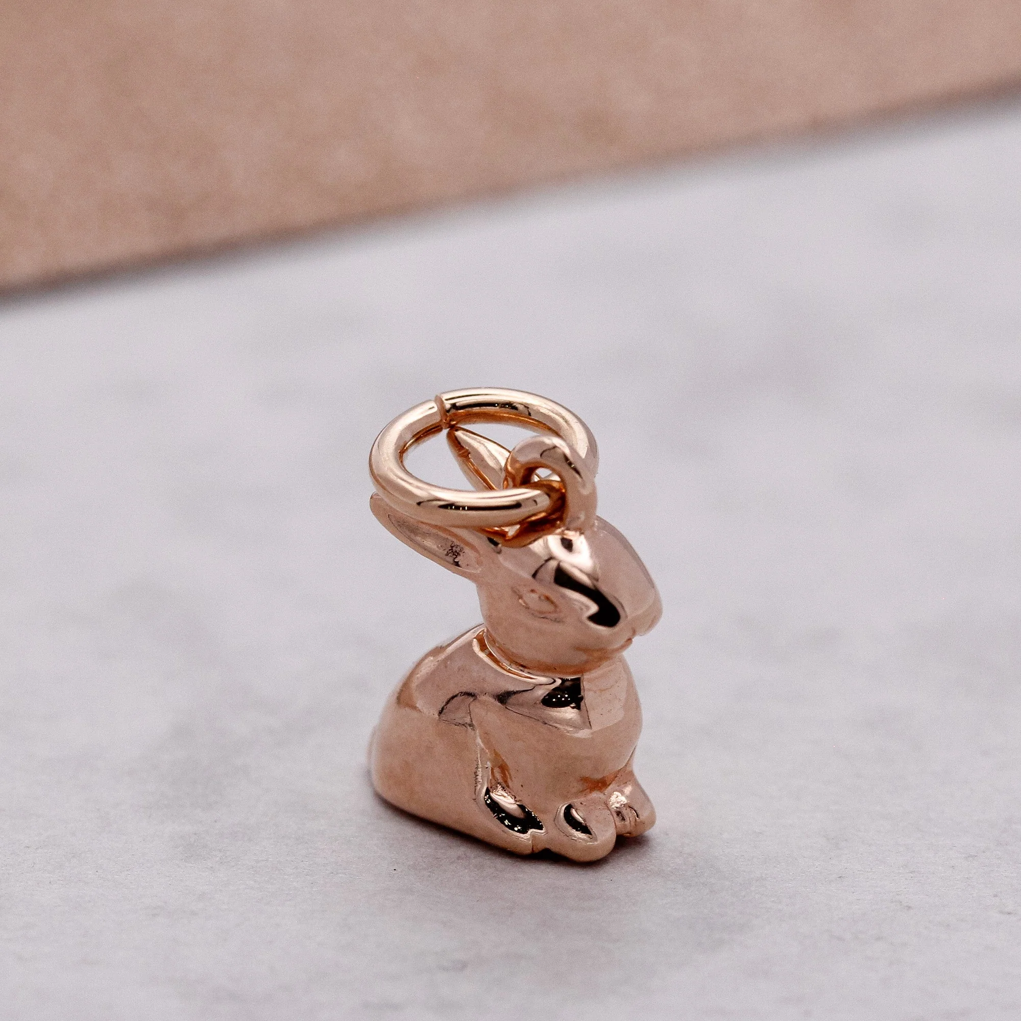 Bunny Rabbit Silver Charm - Image 12