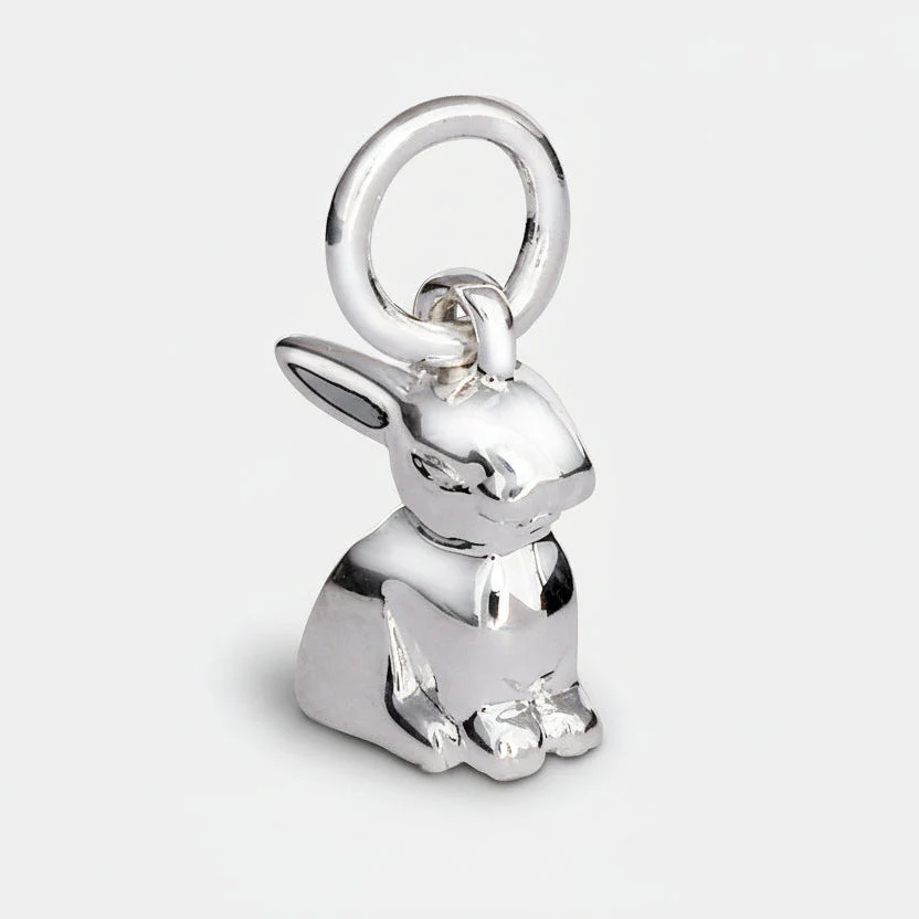Bunny Rabbit Silver Charm - Image 14