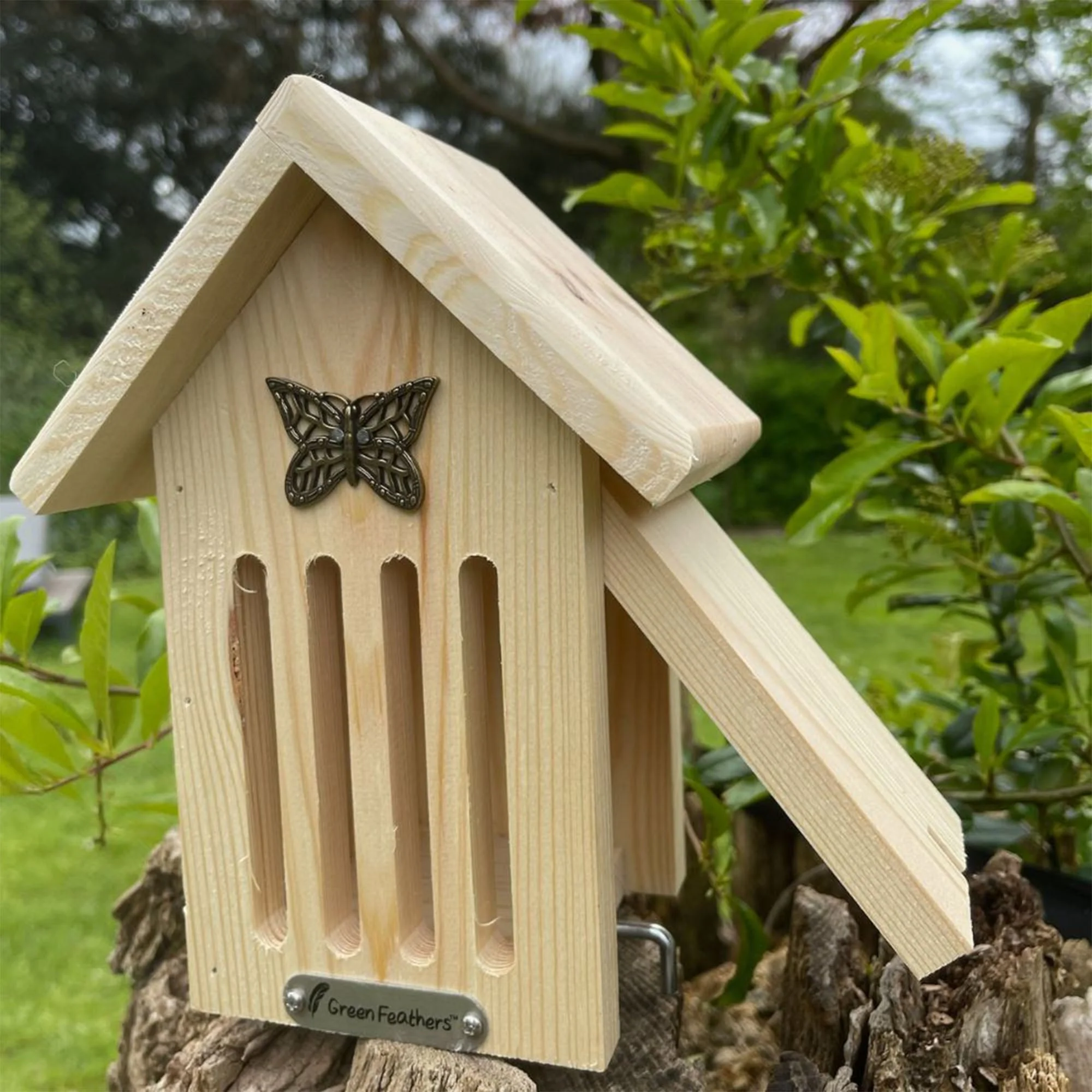 Butterfly House - Image 3