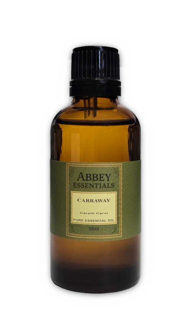 Caraway Essential Oil - Image 4