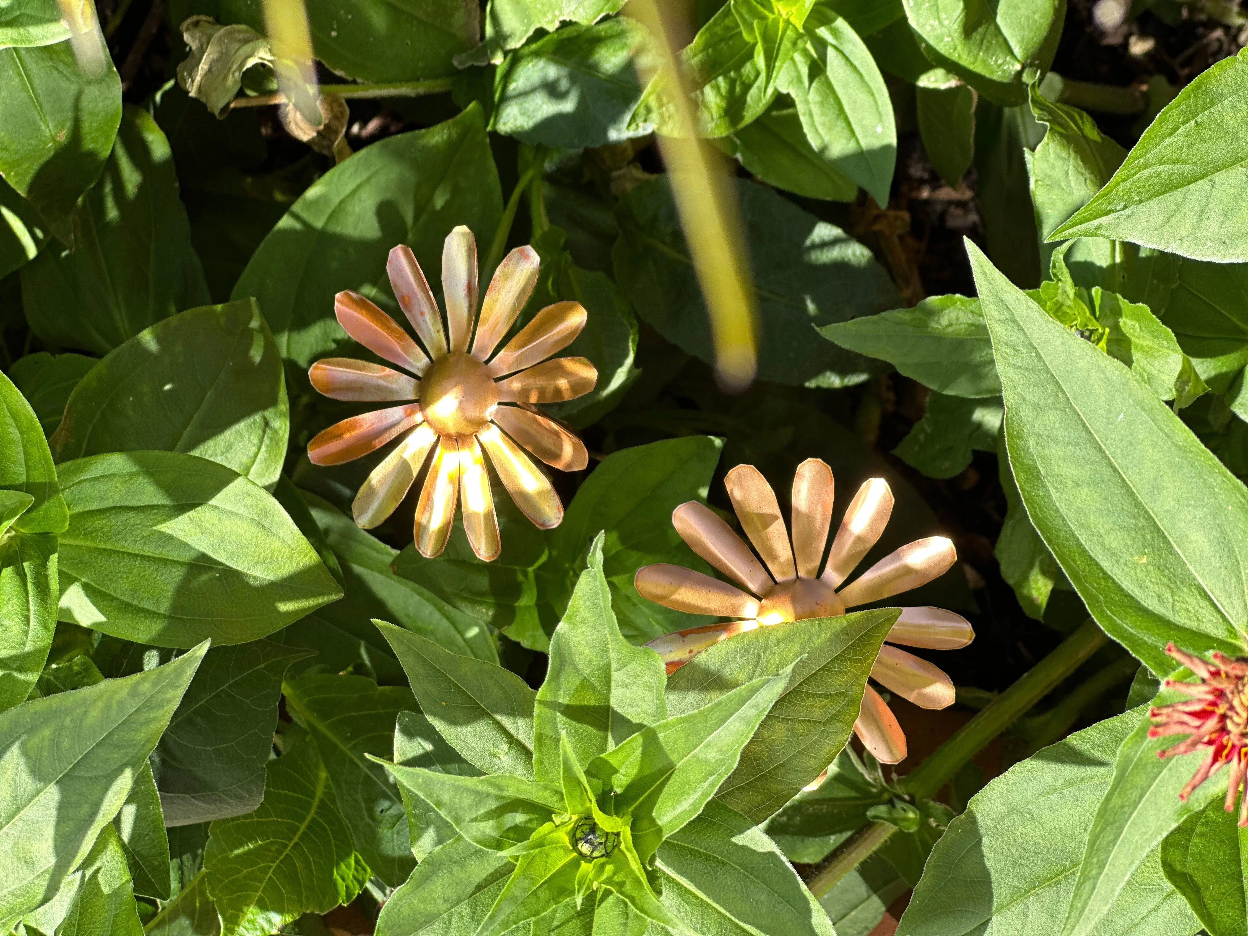 Copper Daisy Flower - Image 13