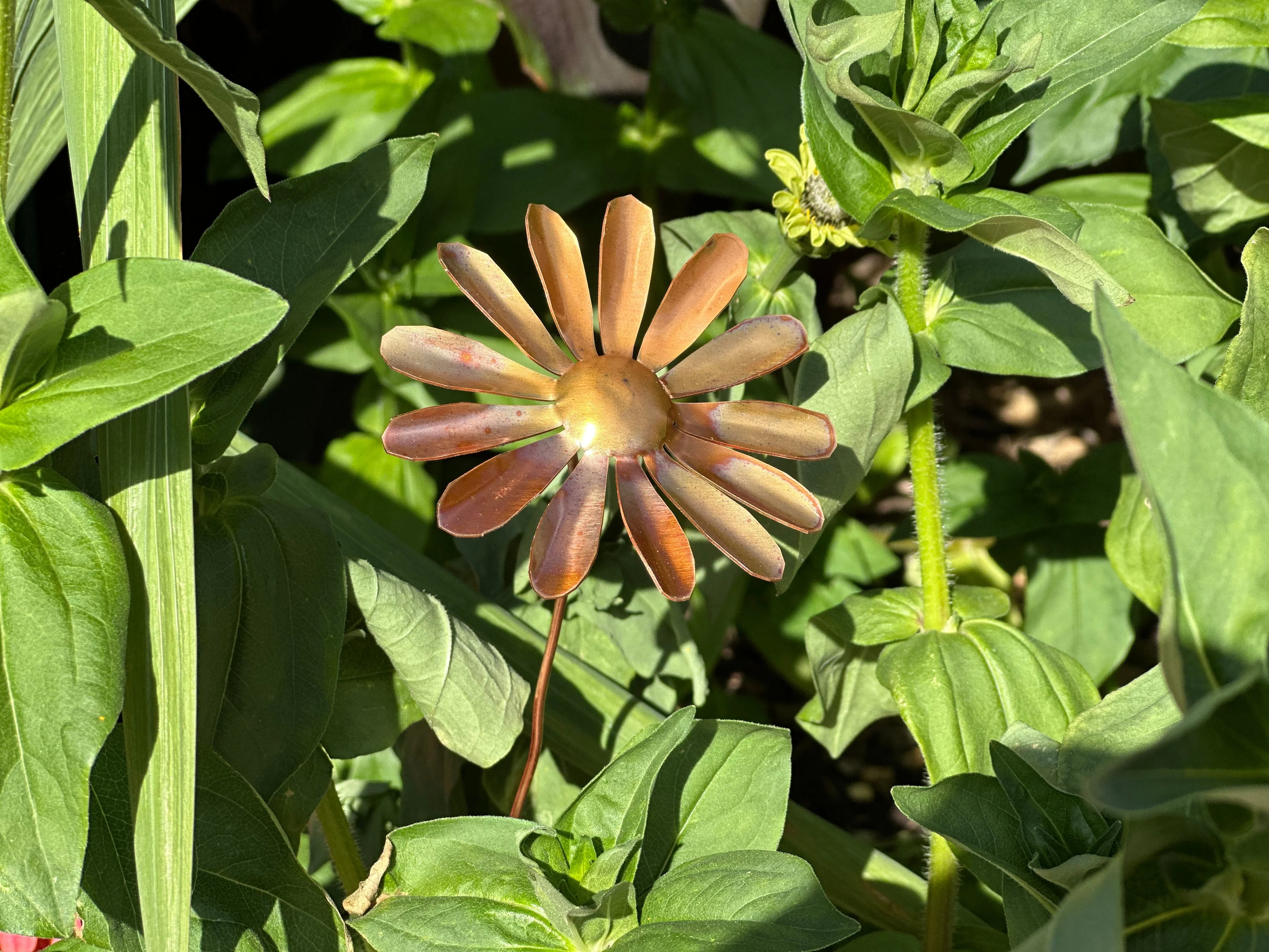 Copper Daisy Flower - Image 20