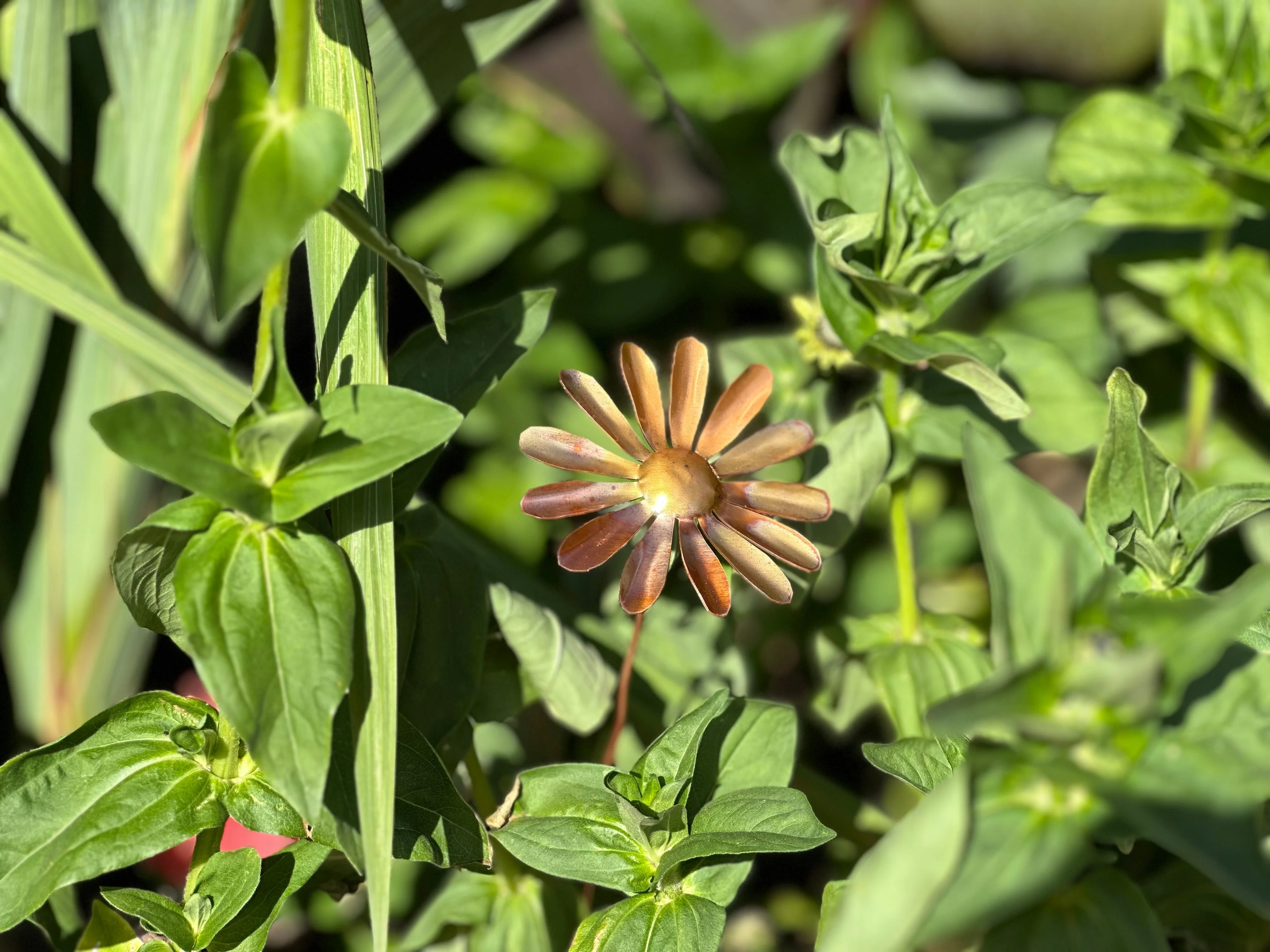 Copper Daisy Flower - Image 21