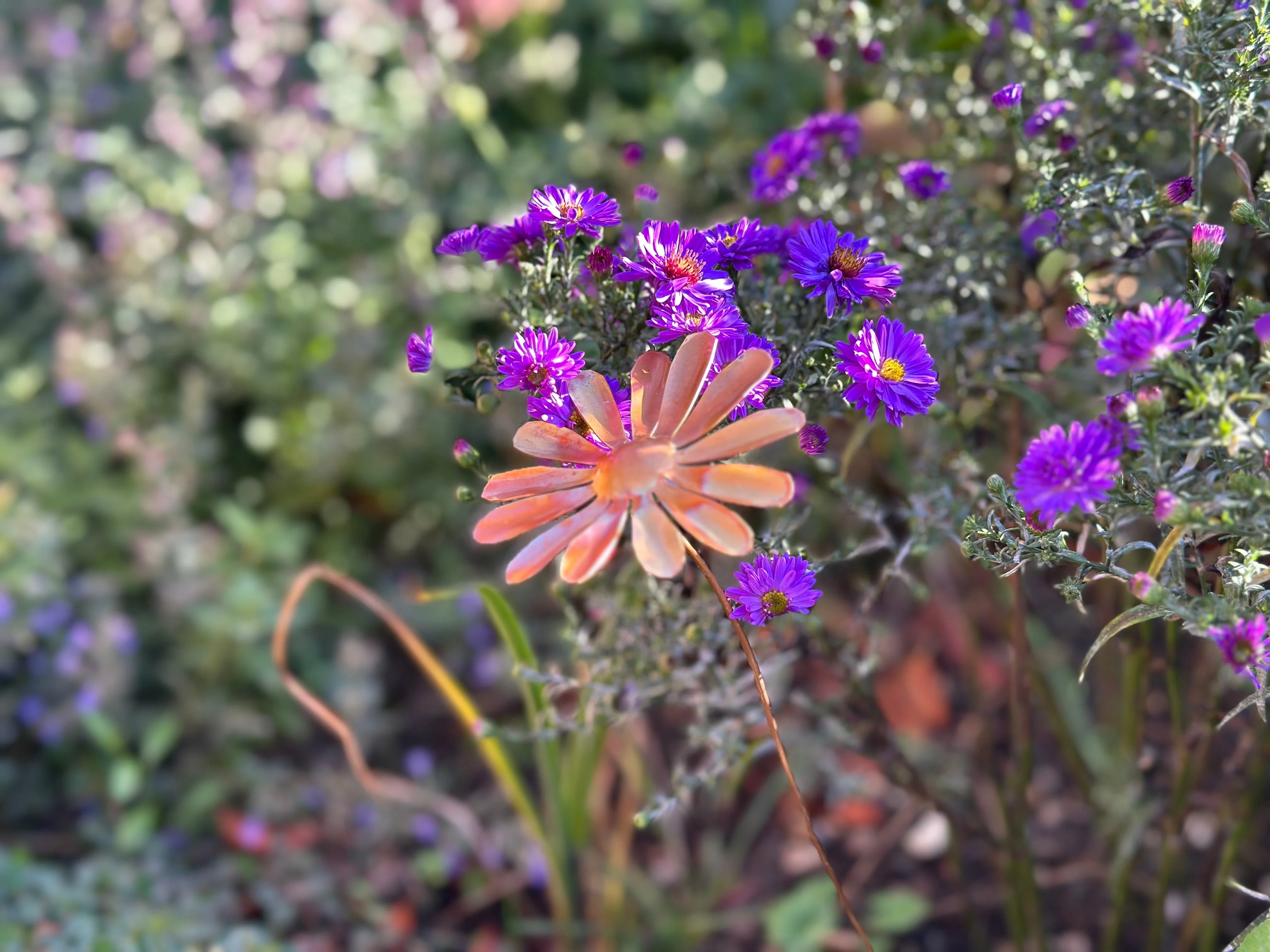 Copper Daisy Flower - Image 26