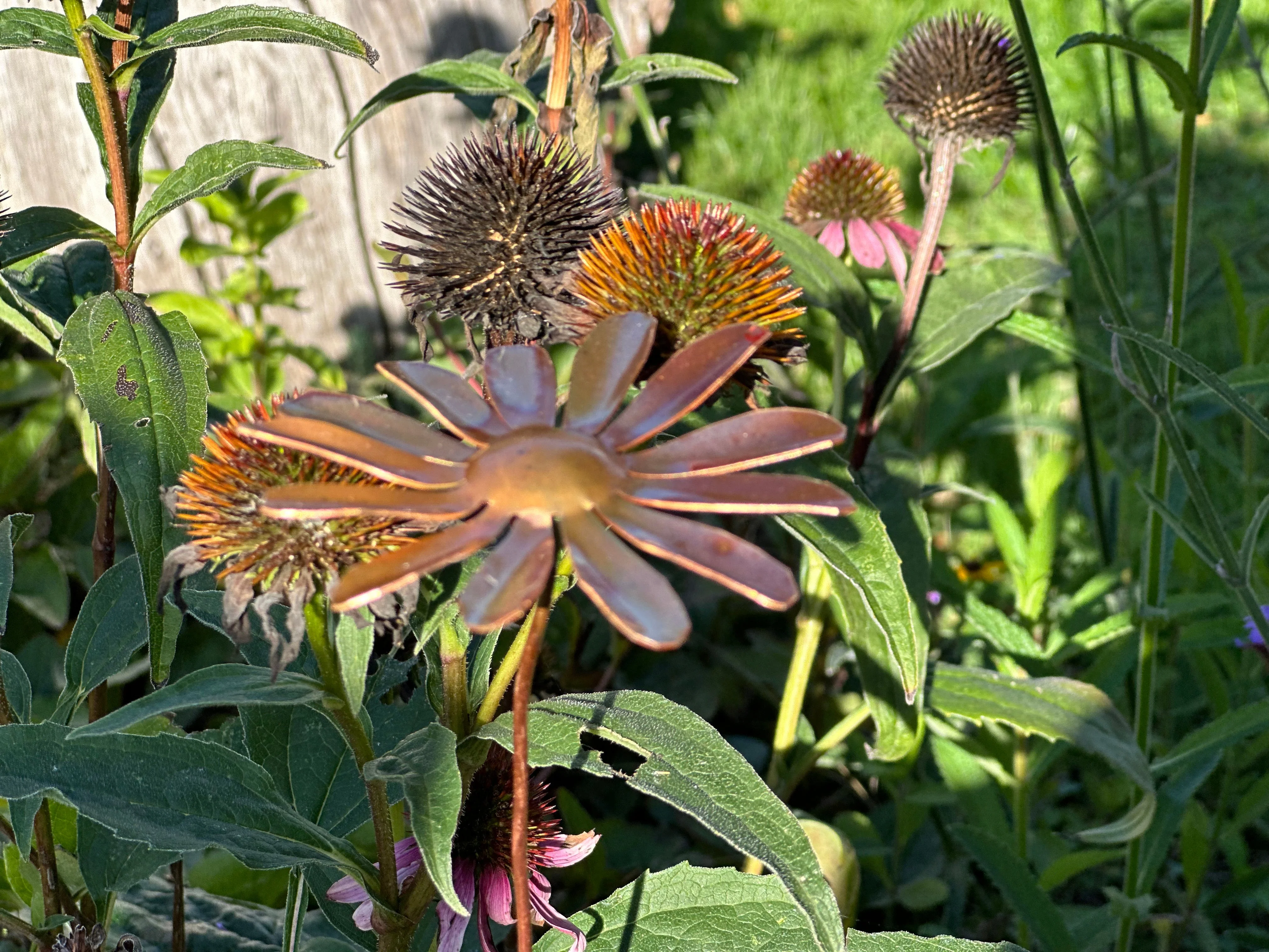 Copper Daisy Flower - Image 3