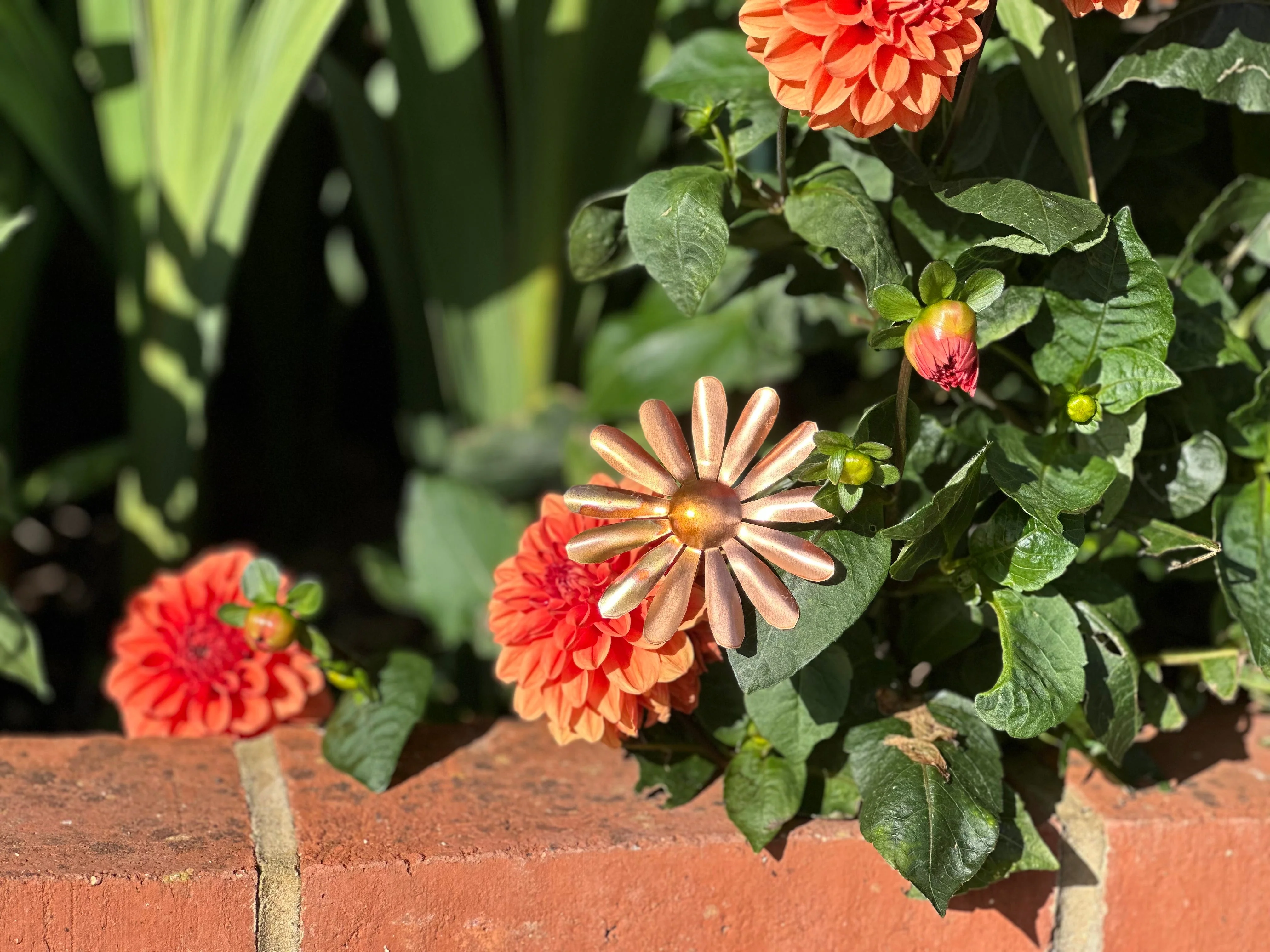 Copper Daisy Flower - Image 6