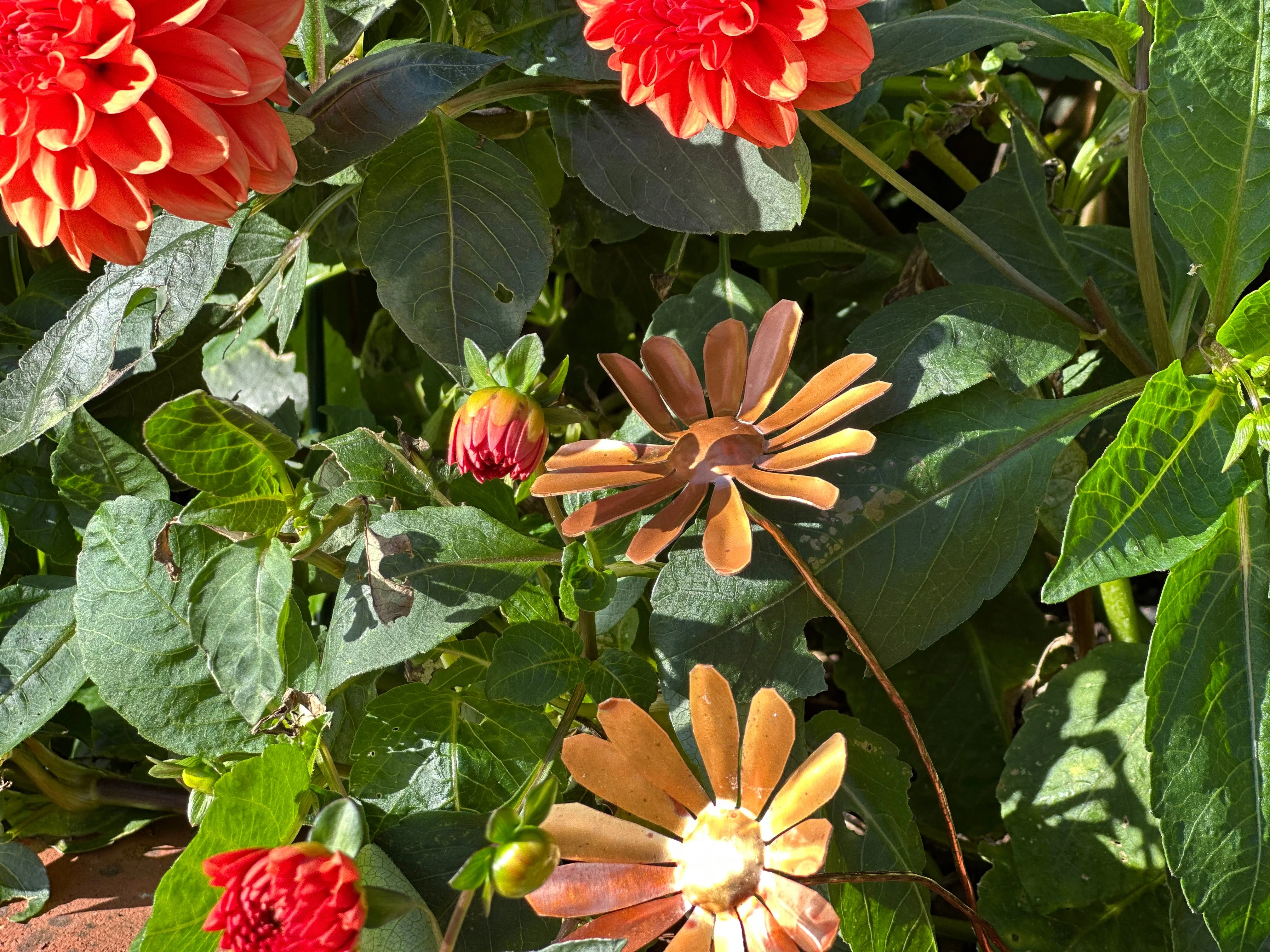 Copper Daisy Flower - Image 7
