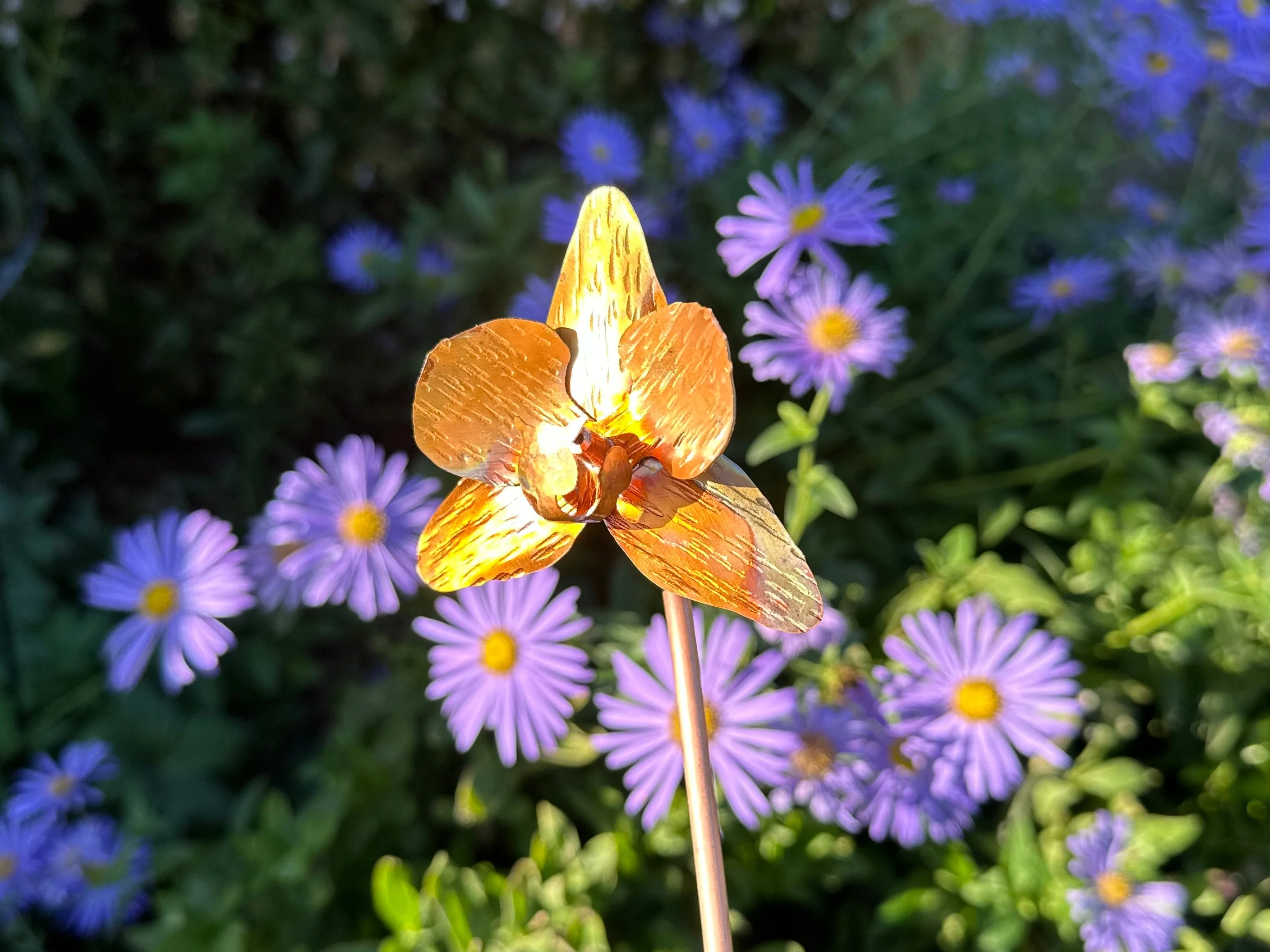 Copper Orchid Flower - Image 27