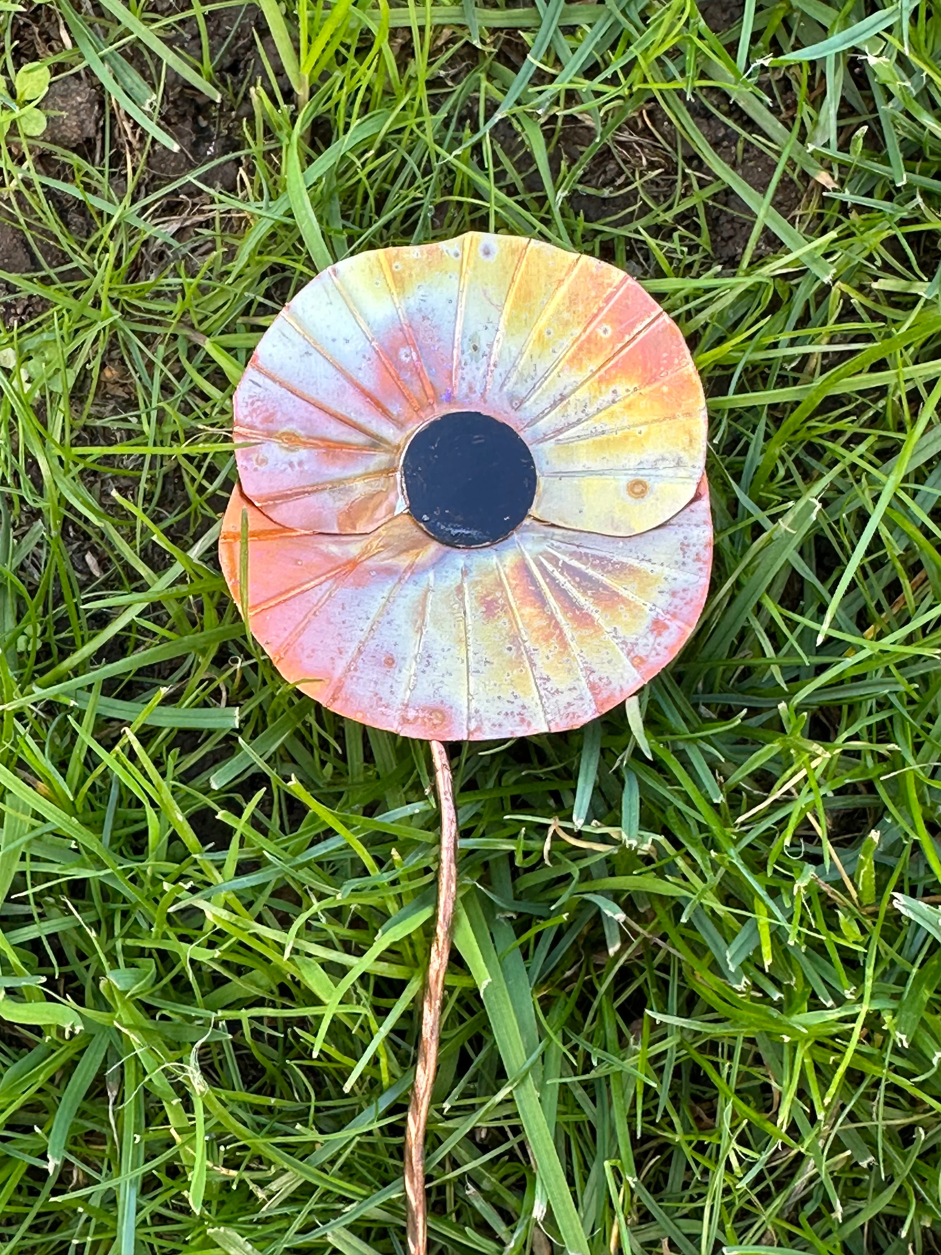 Copper Poppy Flower - Image 13
