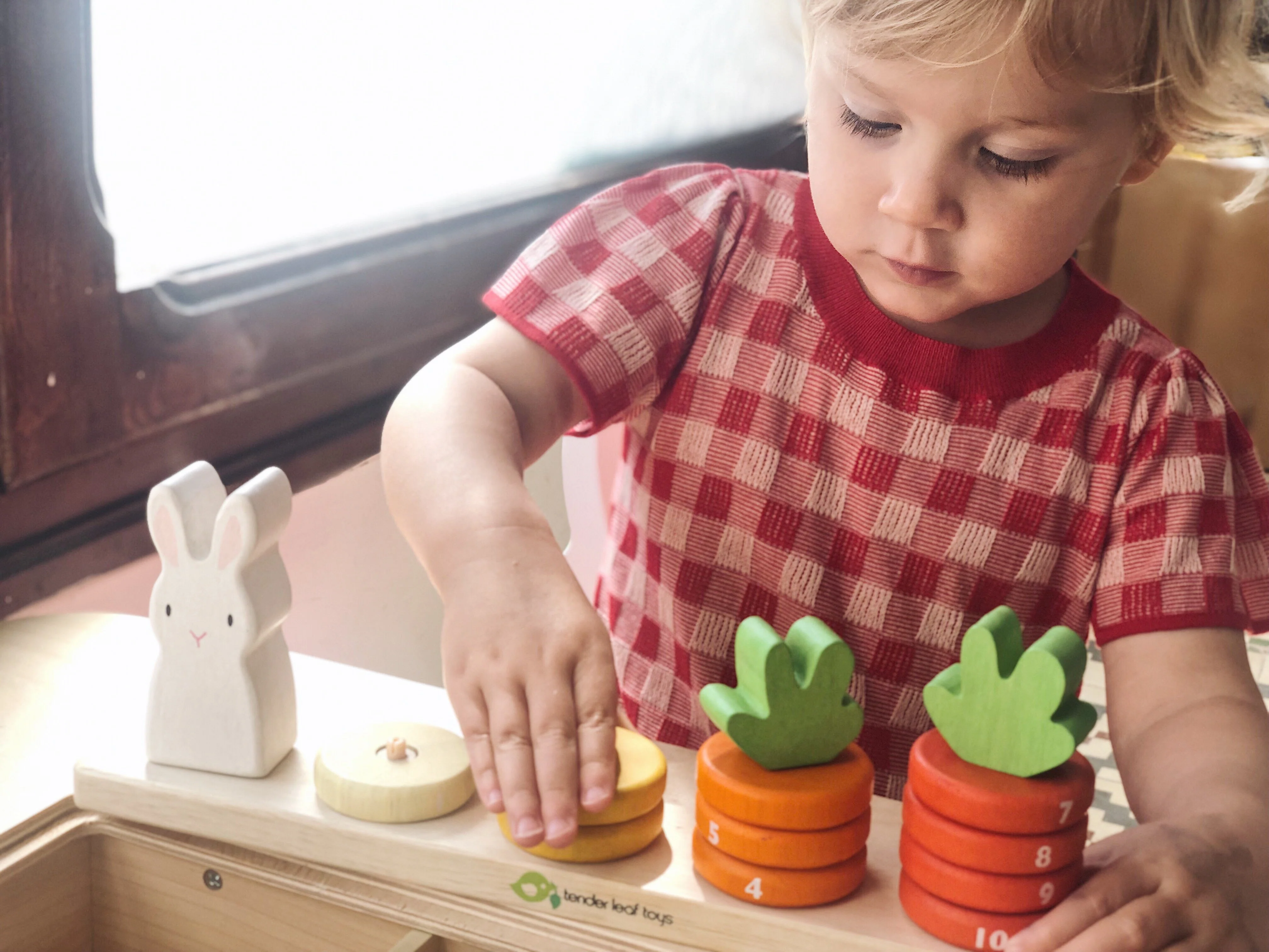Counting Carrots - Image 2