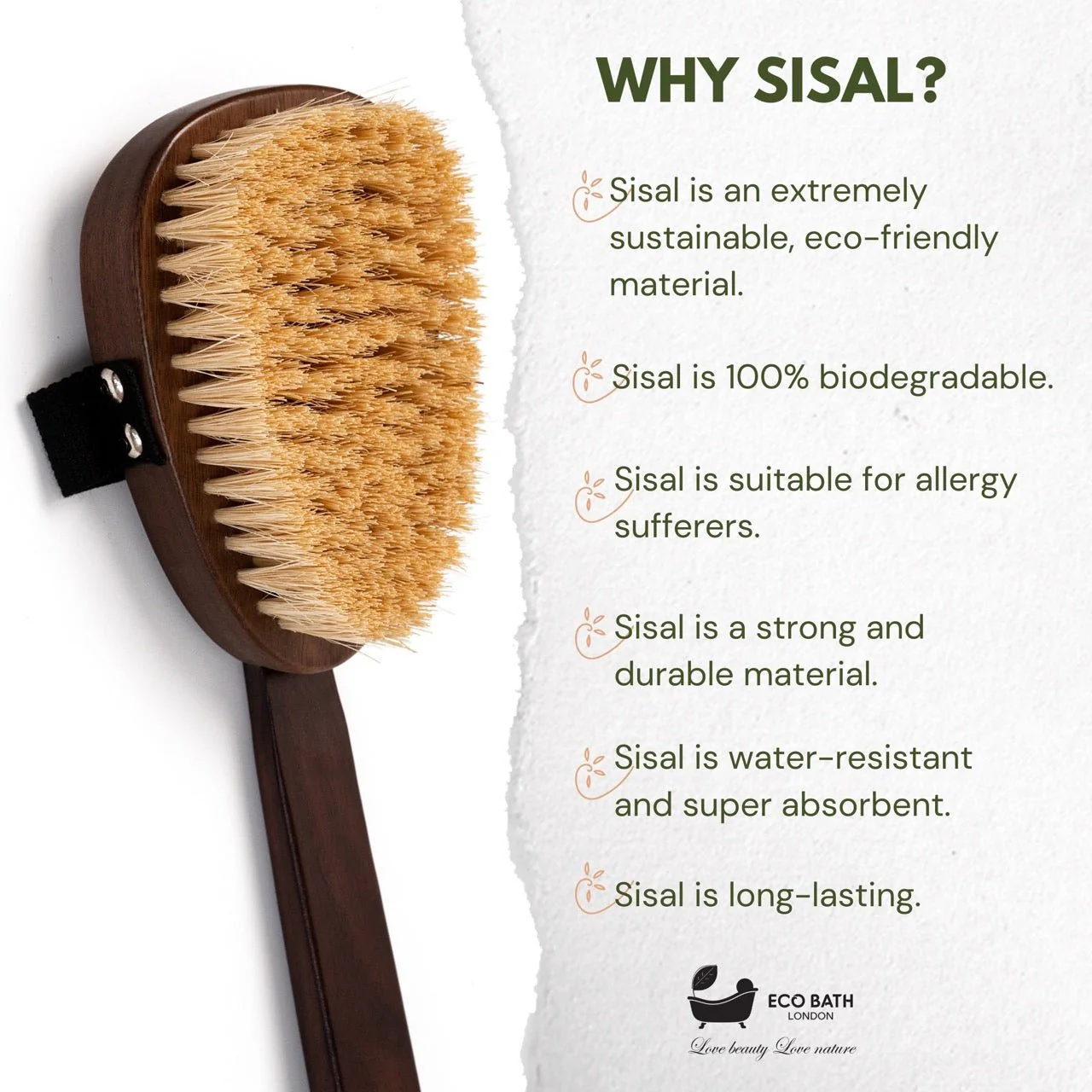 Eco Bath London Natural Sisal Walnut Wood Body Brush - Luxurious Dry Brushing Body Brush - Image 4
