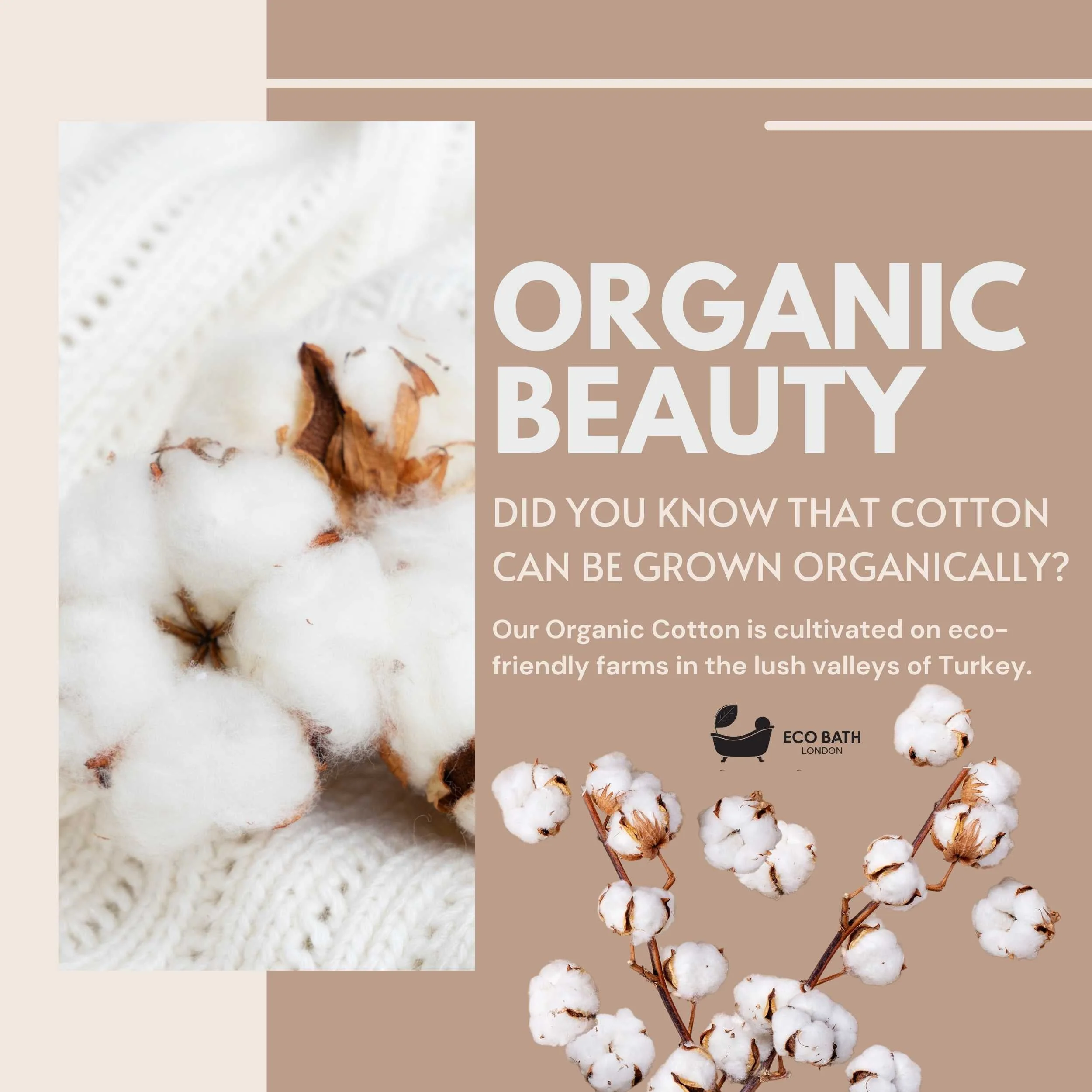 Eco Bath London Organic Cotton Shawl Collar Bath Robe - 100% Certified Organic Cotton - Image 3